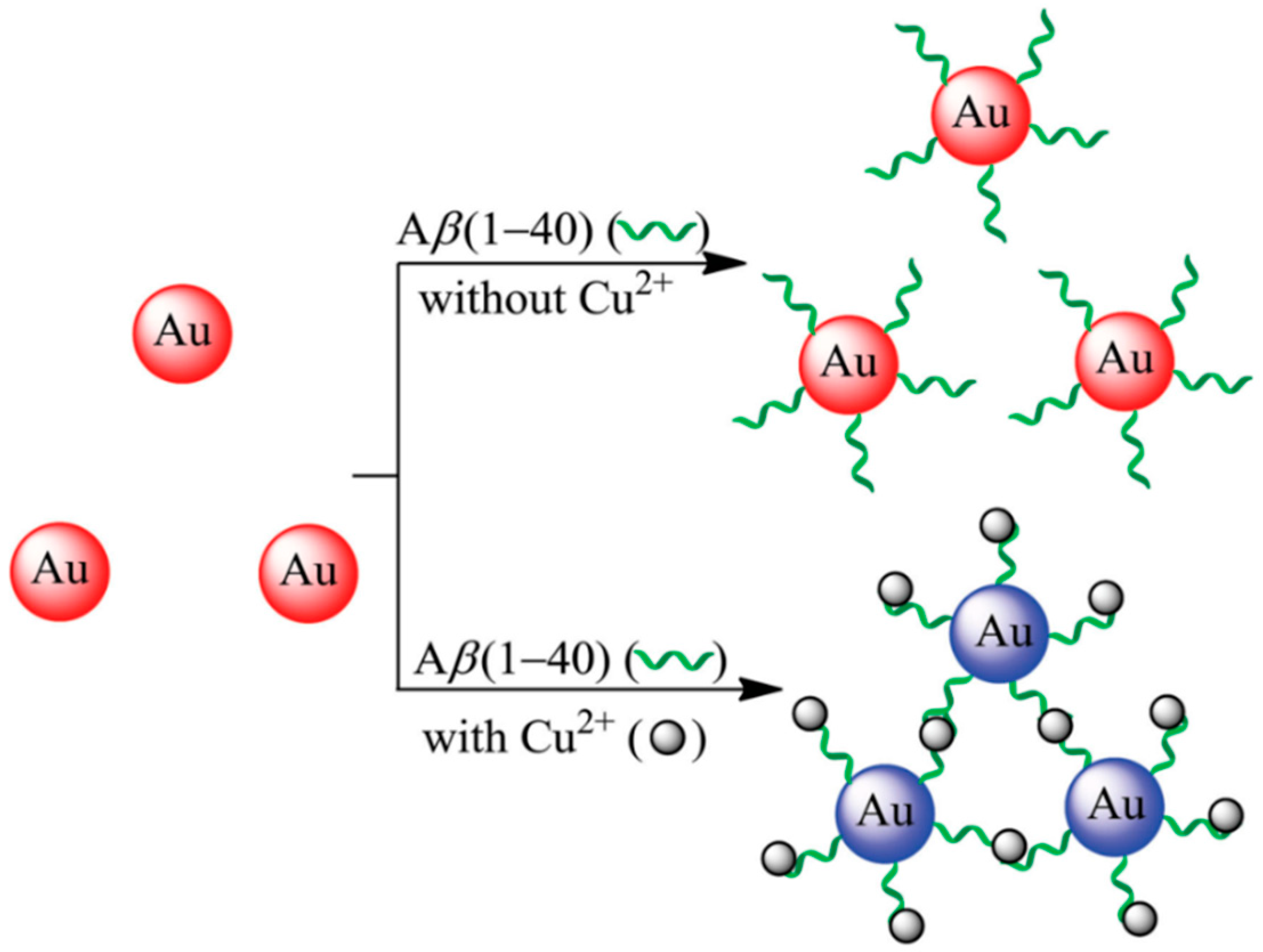 Biosensors 12 00809 g004