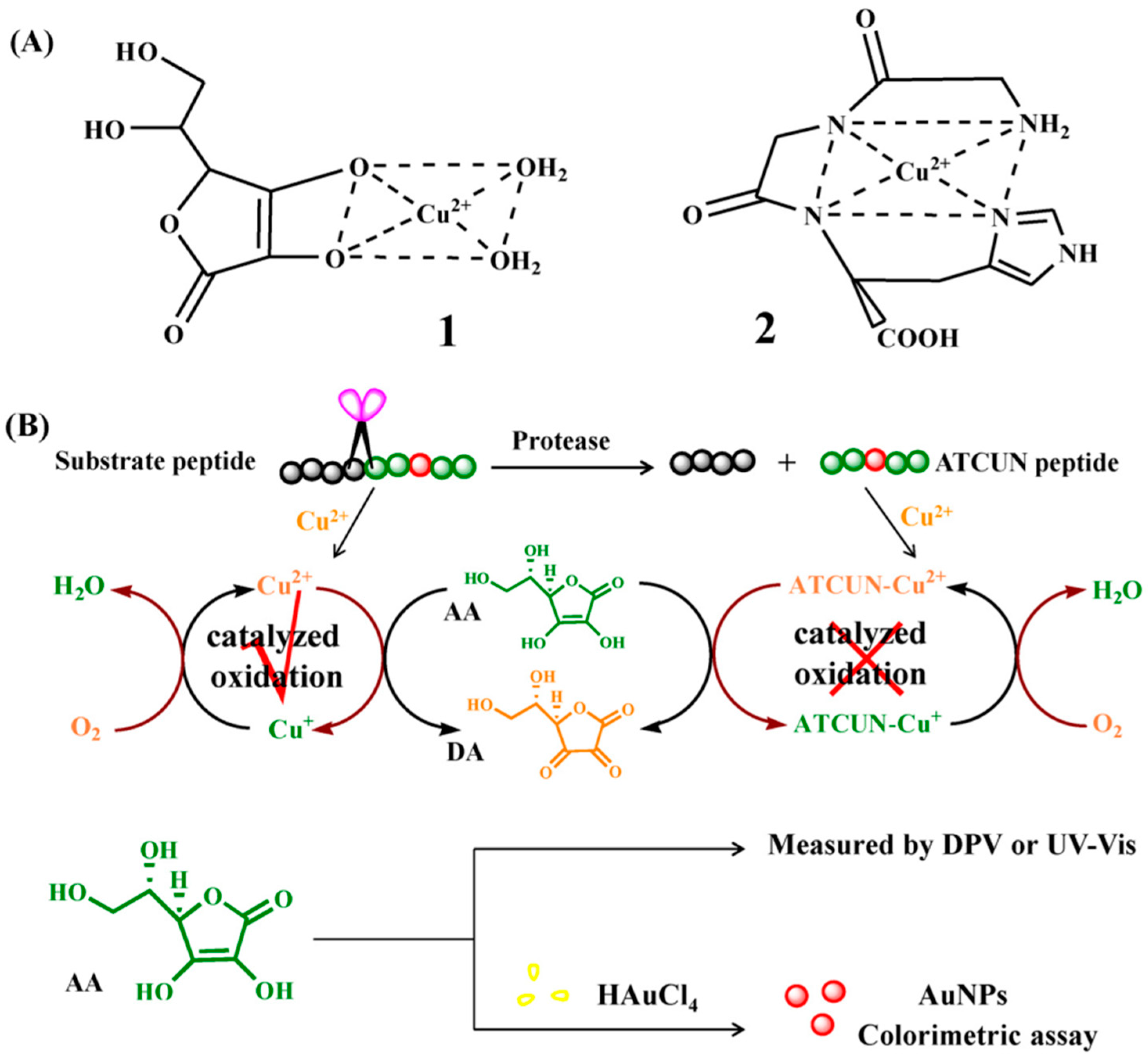 Biosensors 12 00809 g005
