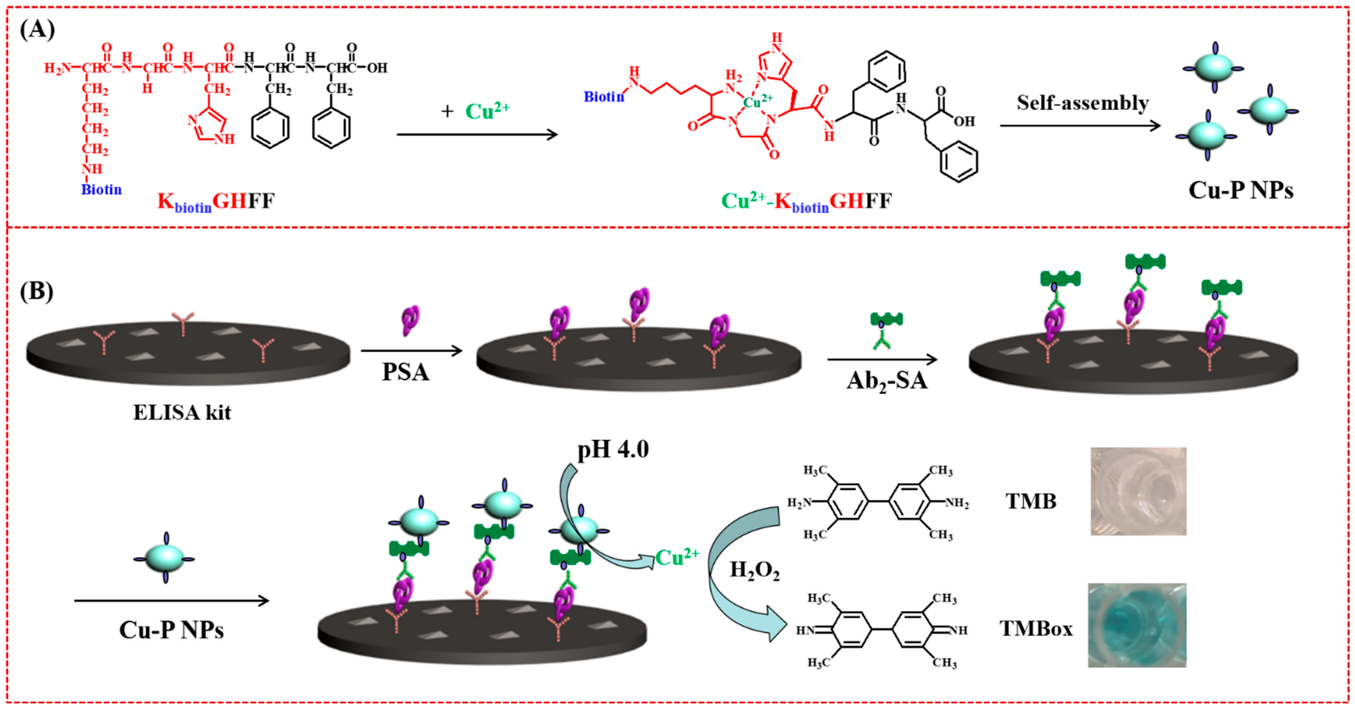 Biosensors 12 00809 g006