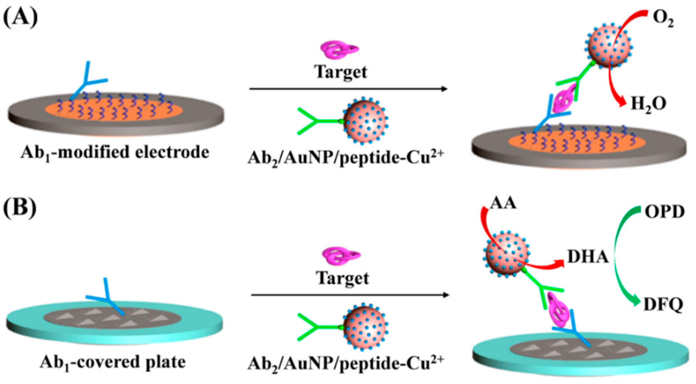 Biosensors 12 00809 g008