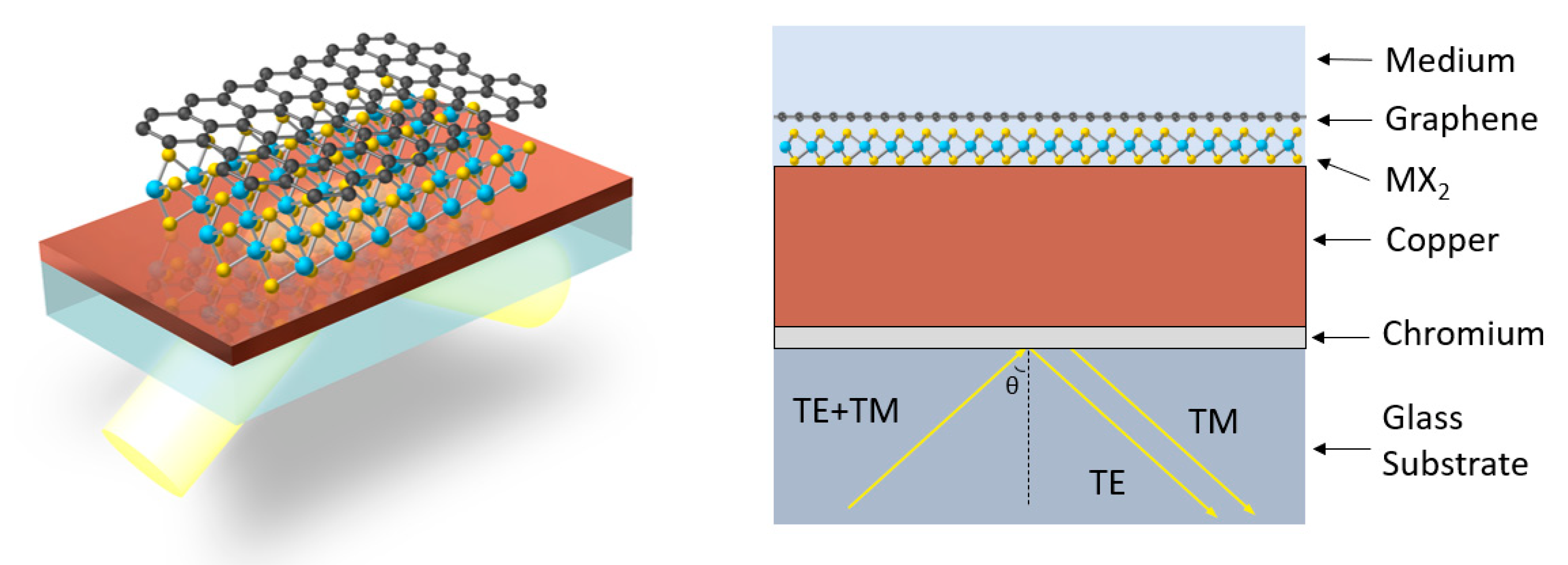 Biosensors 12 00810 g001 Biosensors 12 00810 g001