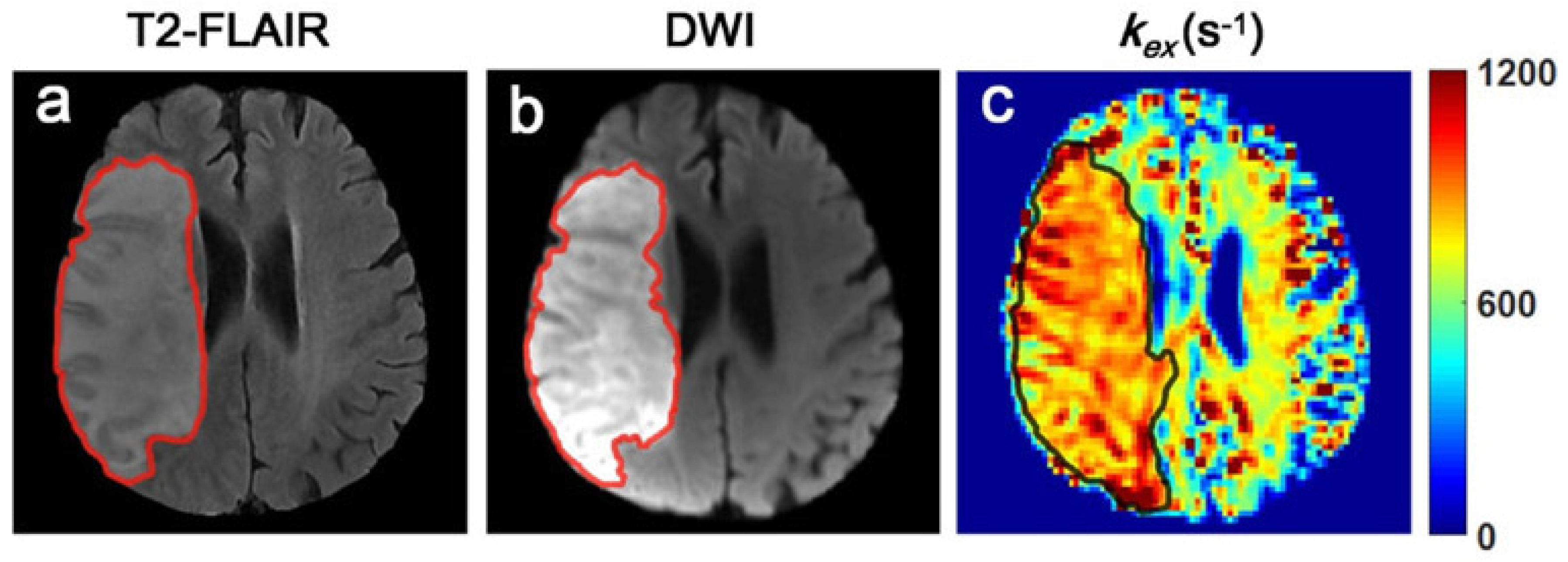 Biosensors 12 00815 g003