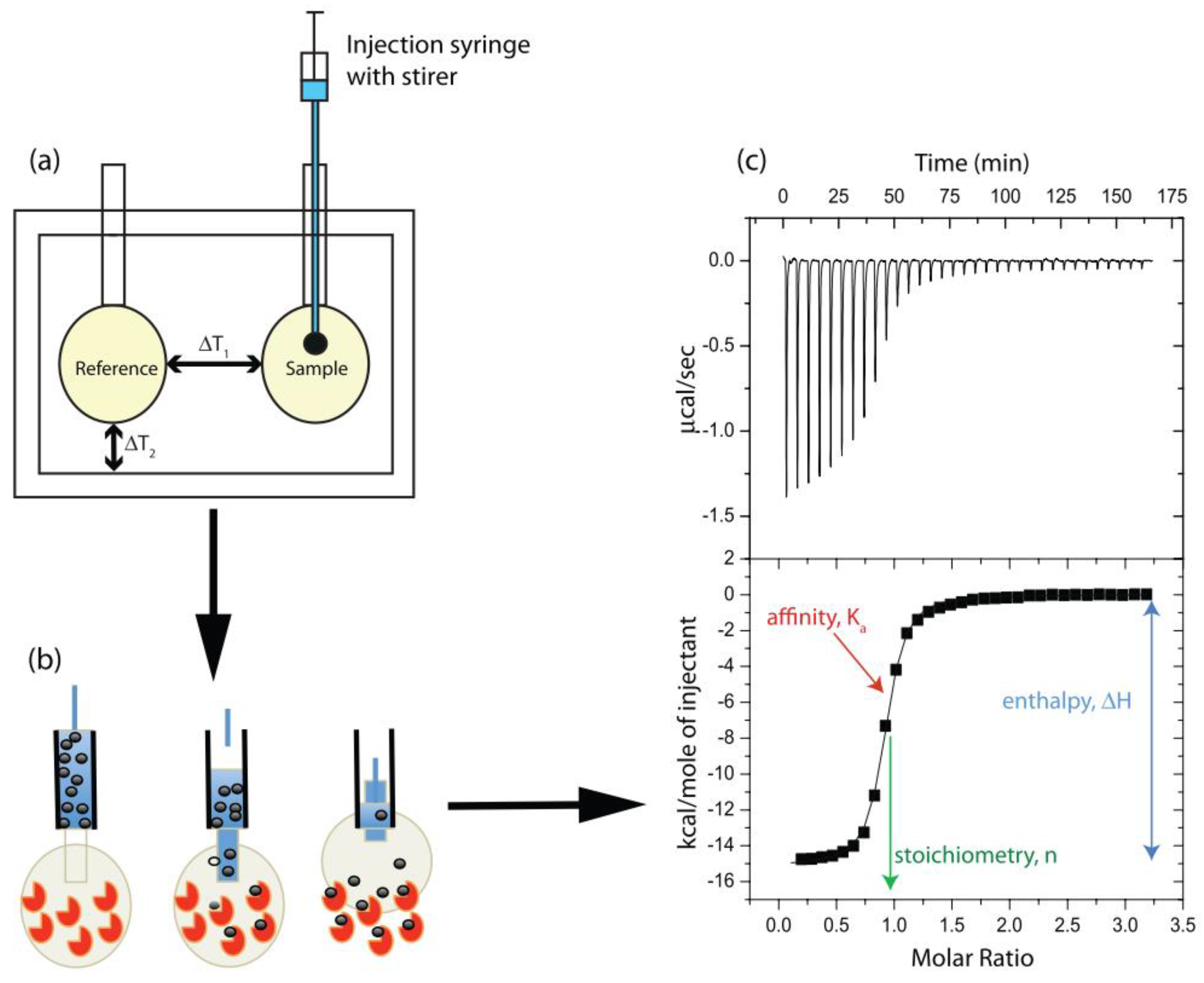 Biosensors 12 00816 g001 Biosensors 12 00816 g001