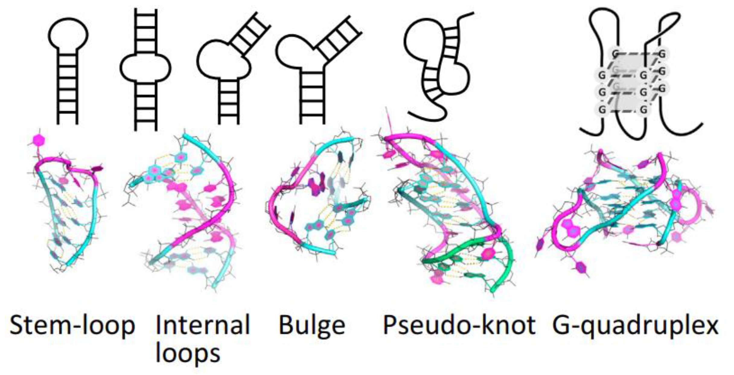 Biosensors 12 00816 g002 Biosensors 12 00816 g002