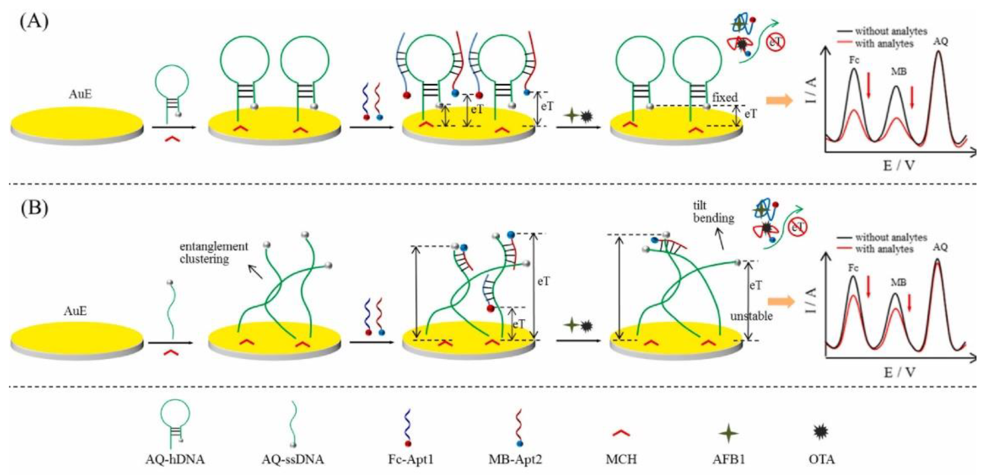 Biosensors 12 00816 g005 Biosensors 12 00816 g005