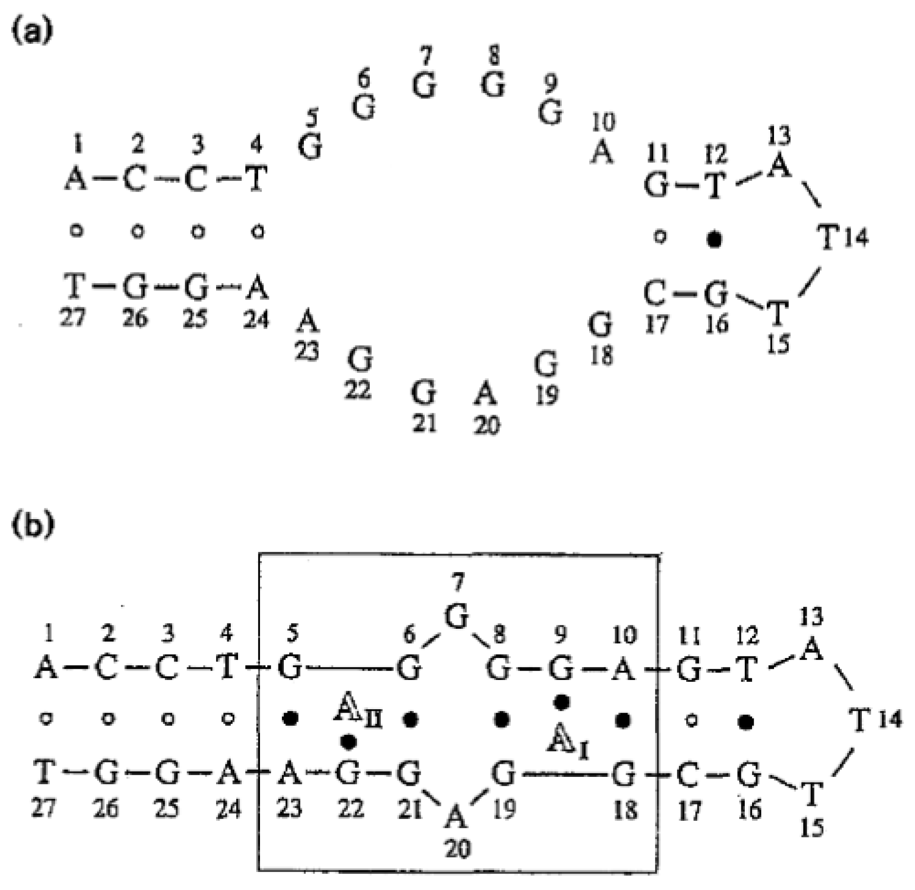 Biosensors 12 00816 sch002 Biosensors 12 00816 sch002