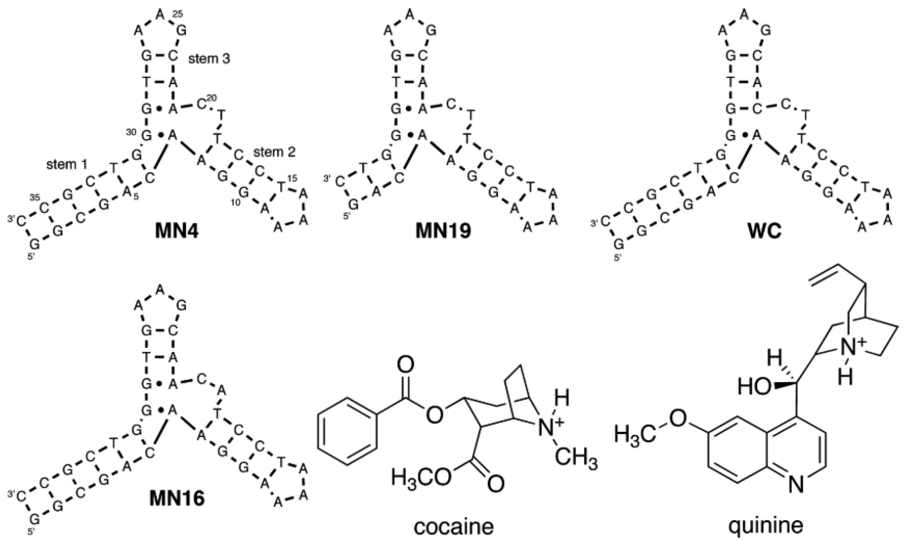 Biosensors 12 00816 sch003 Biosensors 12 00816 sch003
