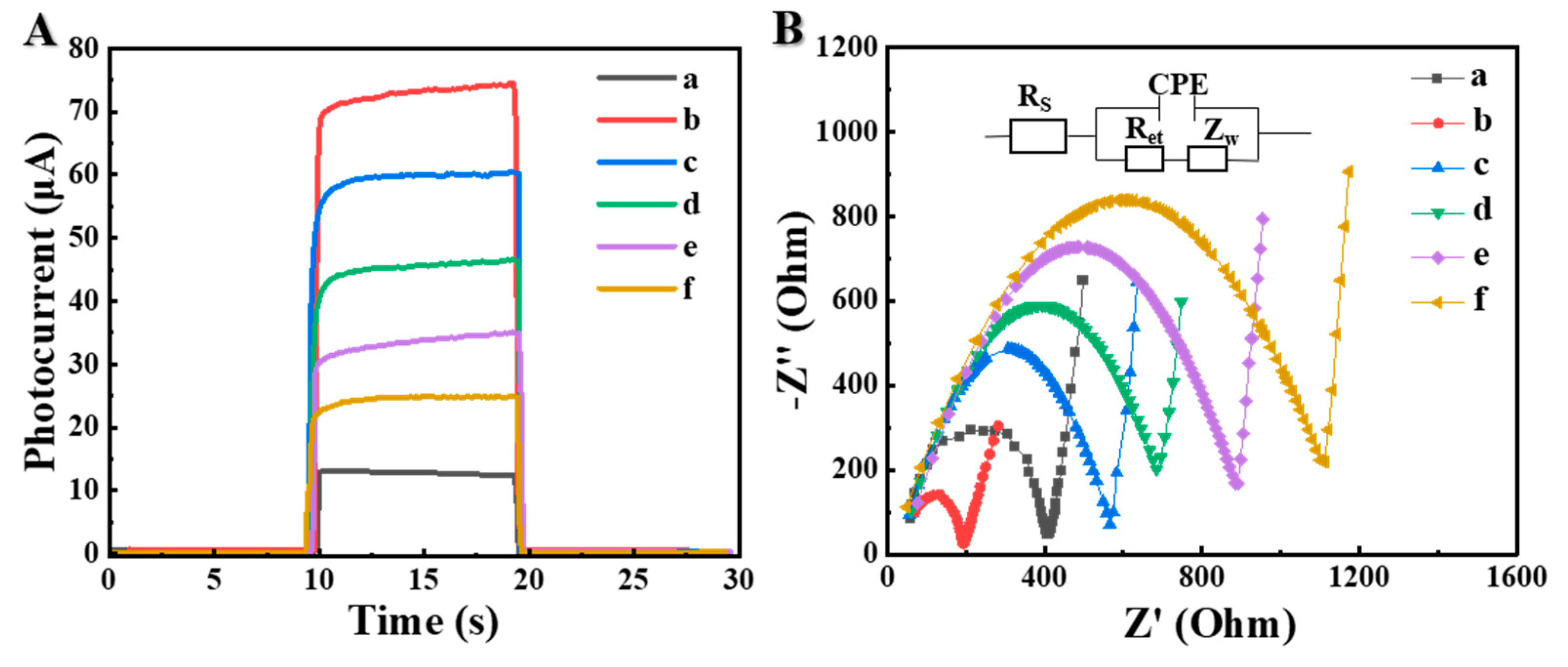 Biosensors 12 00818 g004