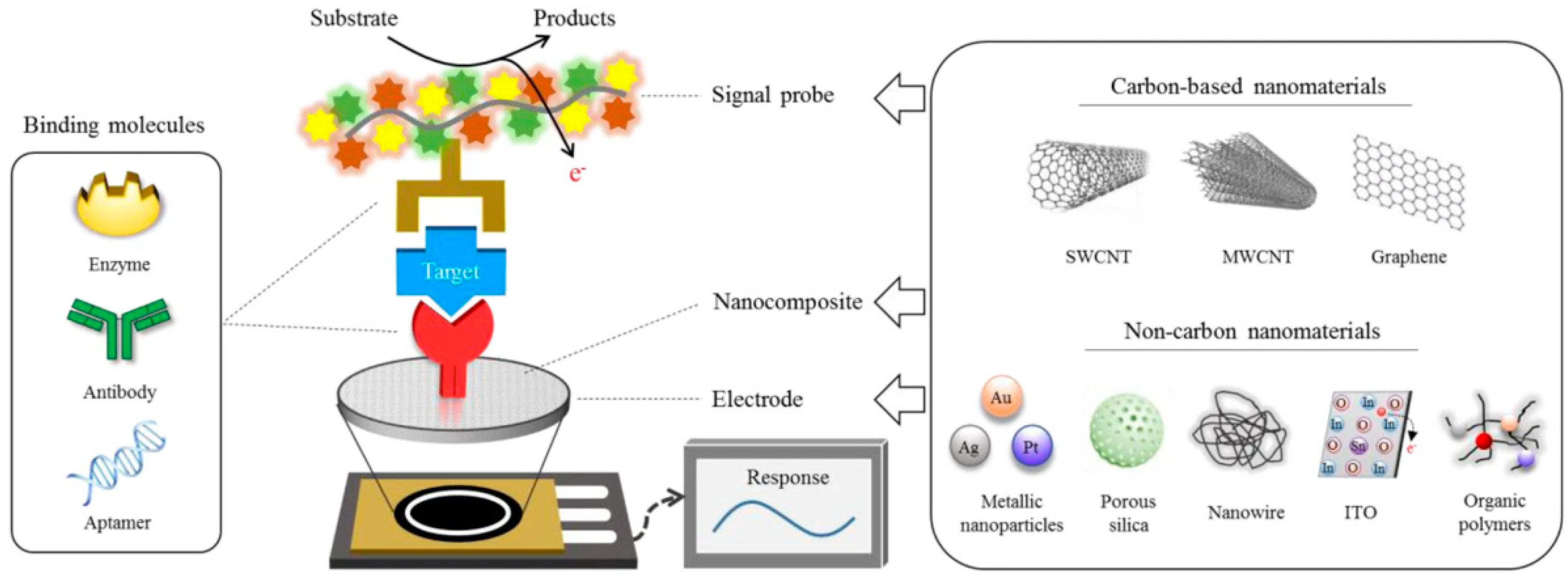 Biosensors 12 00820 g005