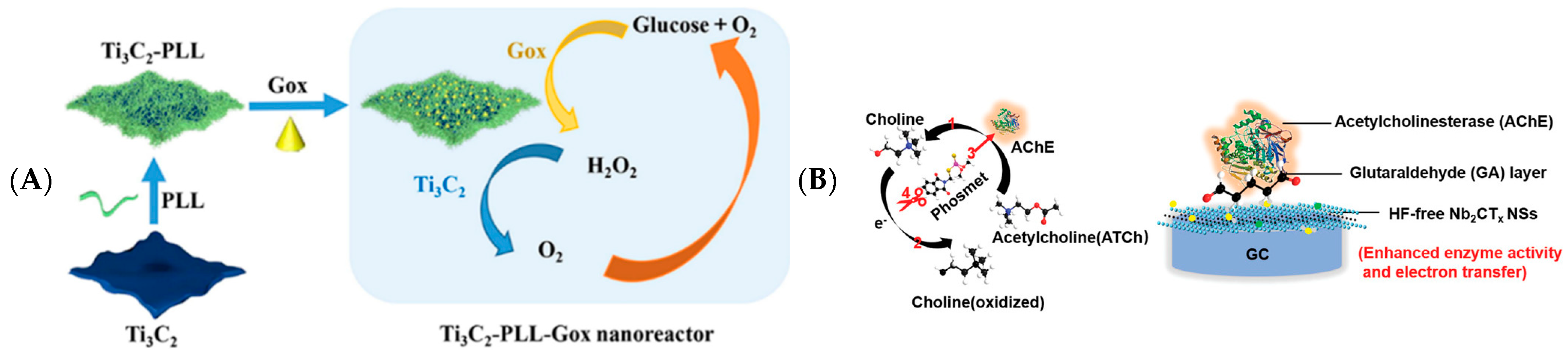 Biosensors 12 00820 g006