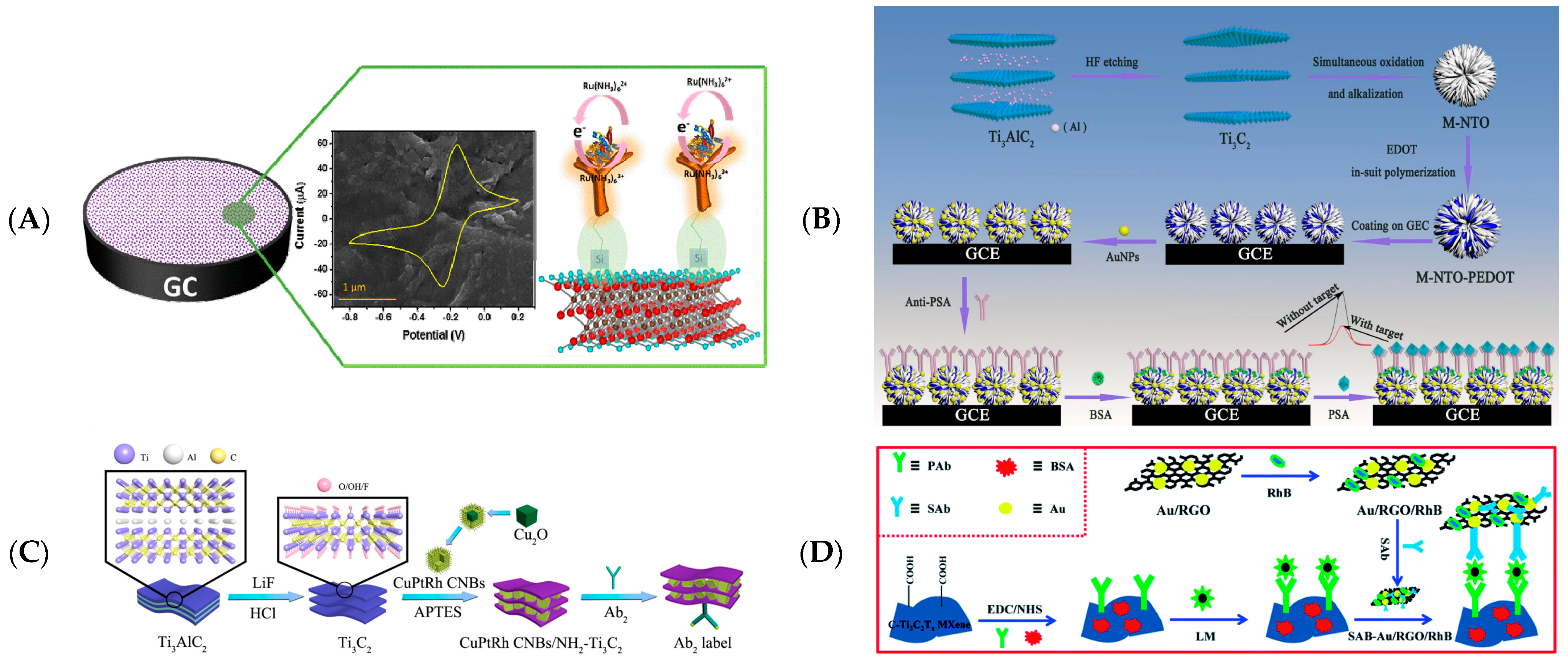Biosensors 12 00820 g008