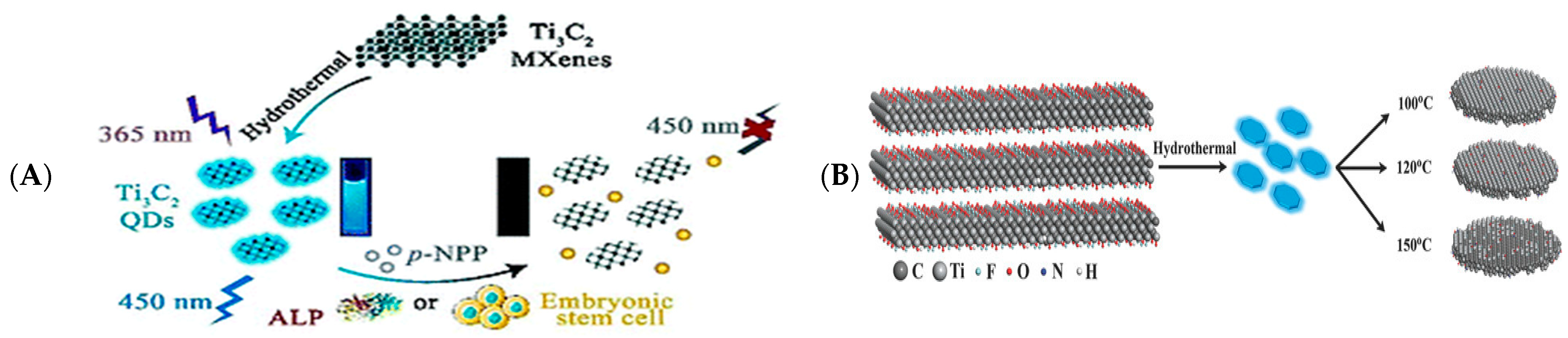 Biosensors 12 00820 g010