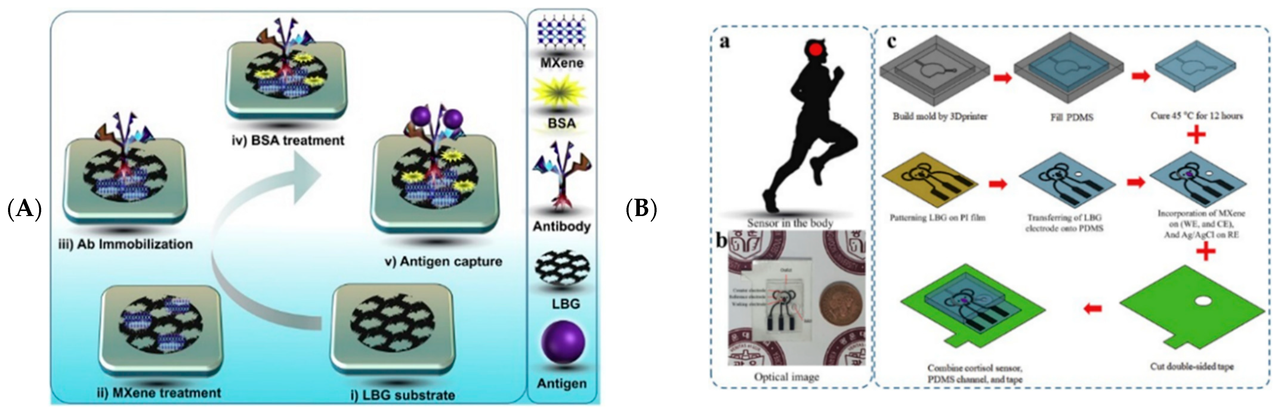 Biosensors 12 00820 g013
