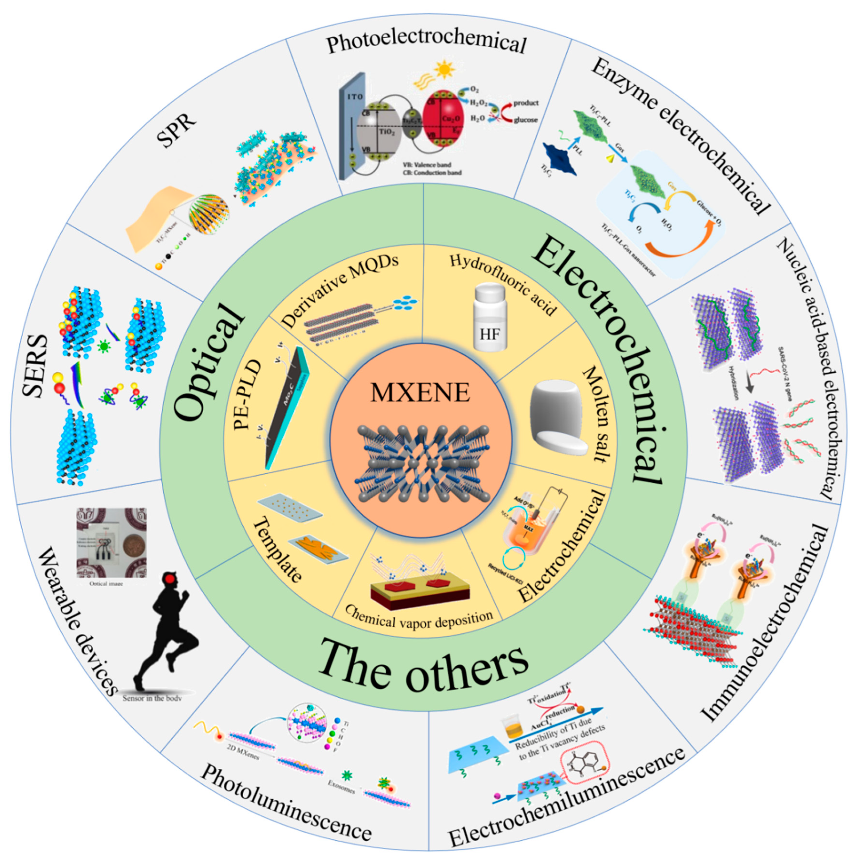 Biosensors 12 00820 sch001
