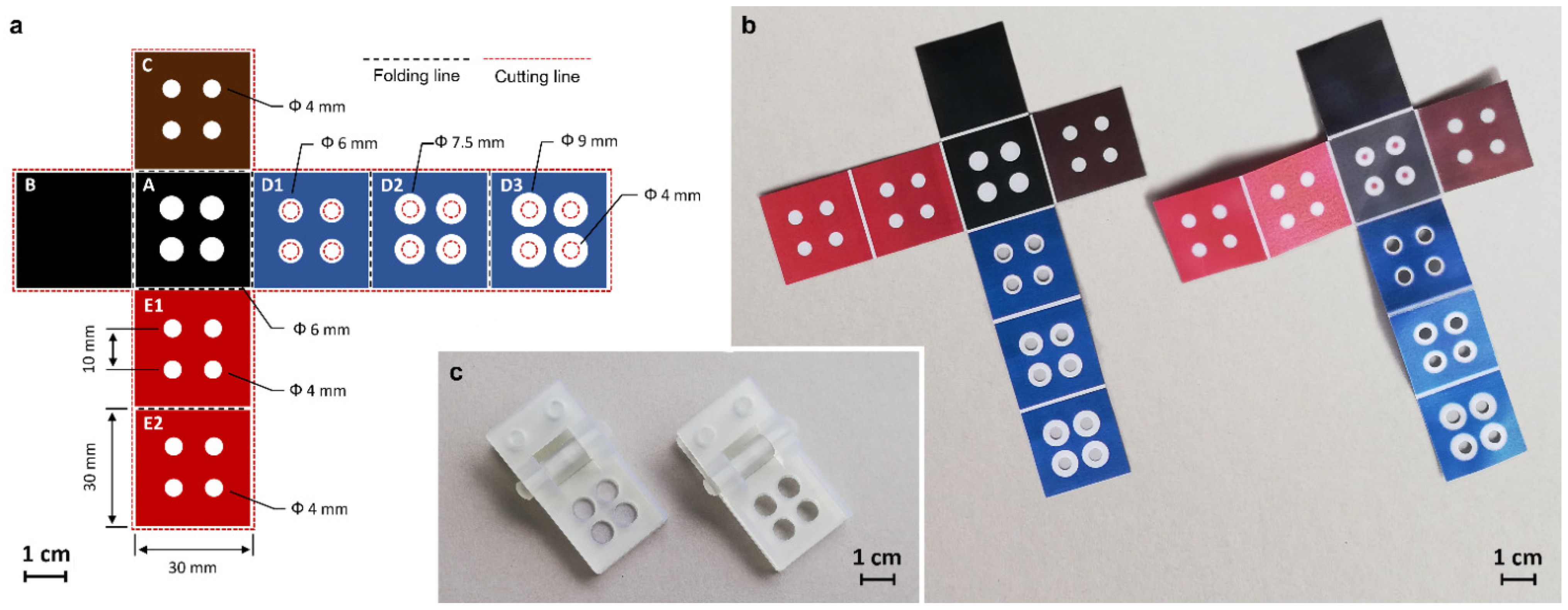 Biosensors 12 00825 g001