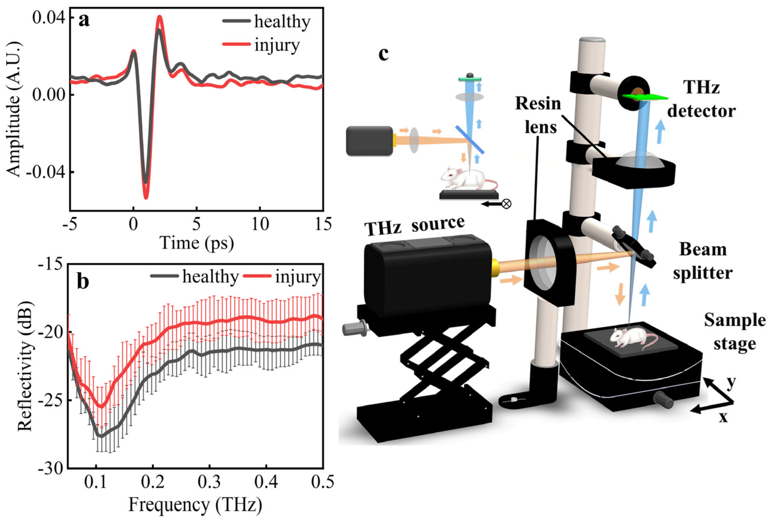 Biosensors 12 00826 g002 Biosensors 12 00826 g002