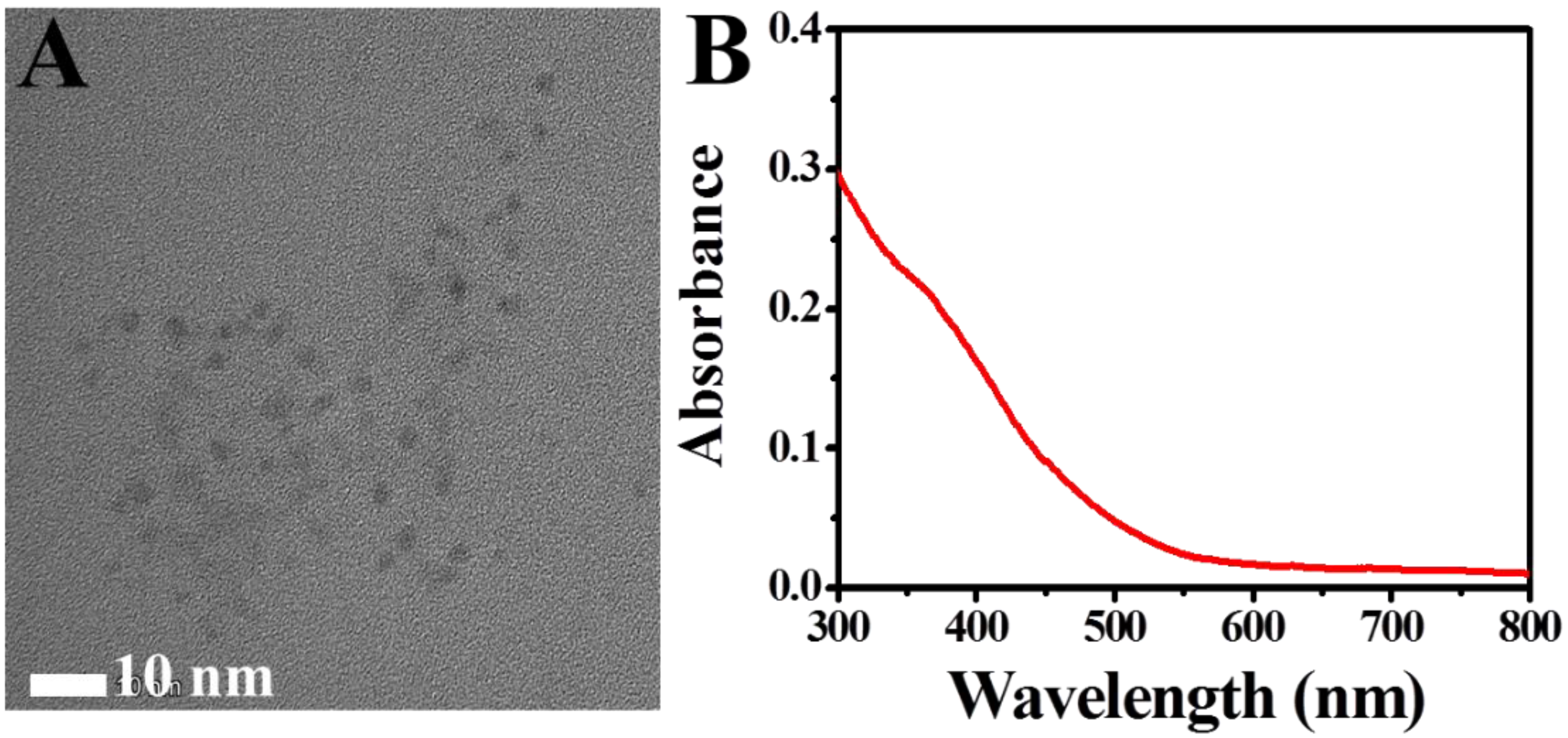 Biosensors 12 00830 g001