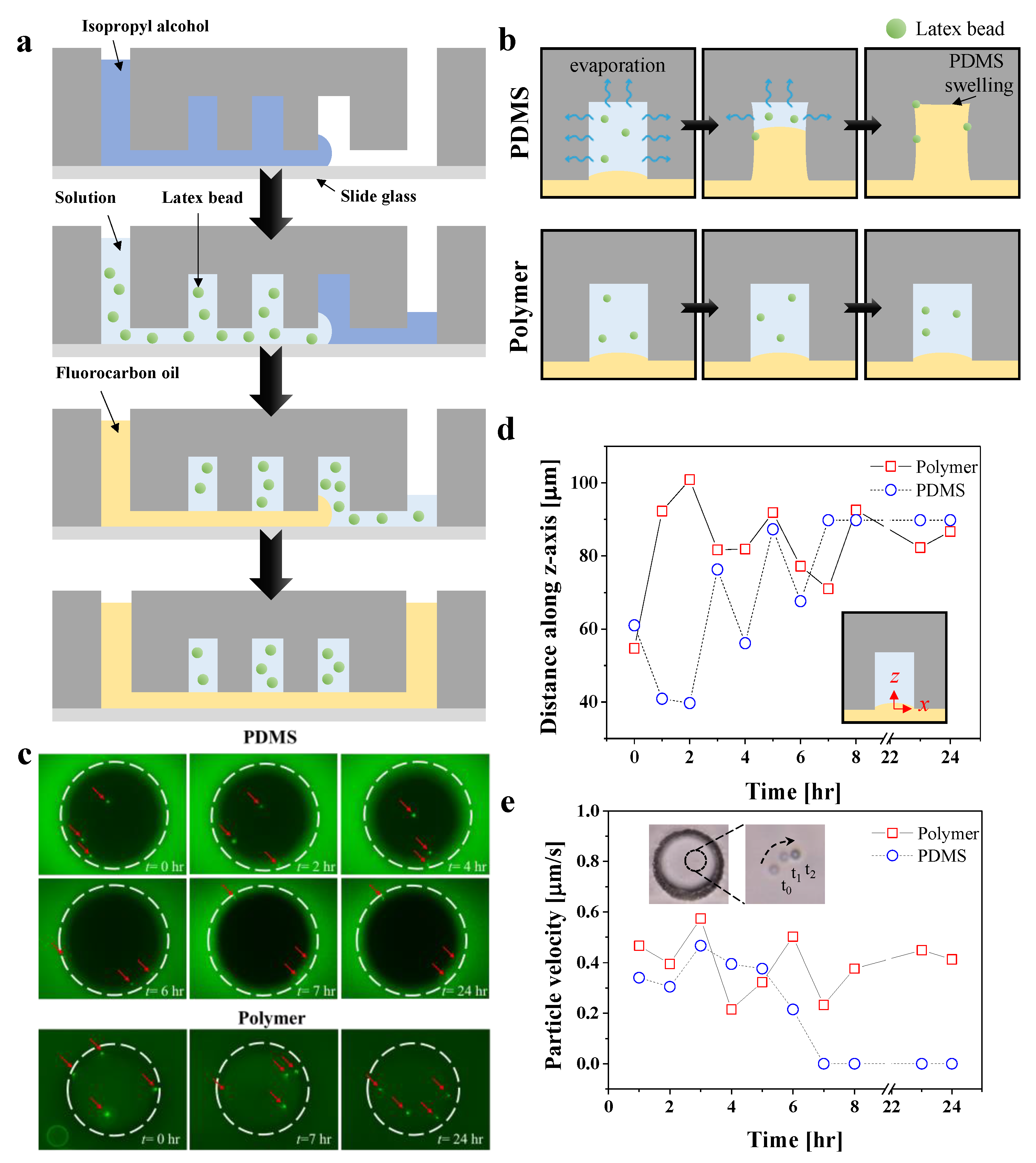 Biosensors 12 00838 g005 Biosensors 12 00838 g005