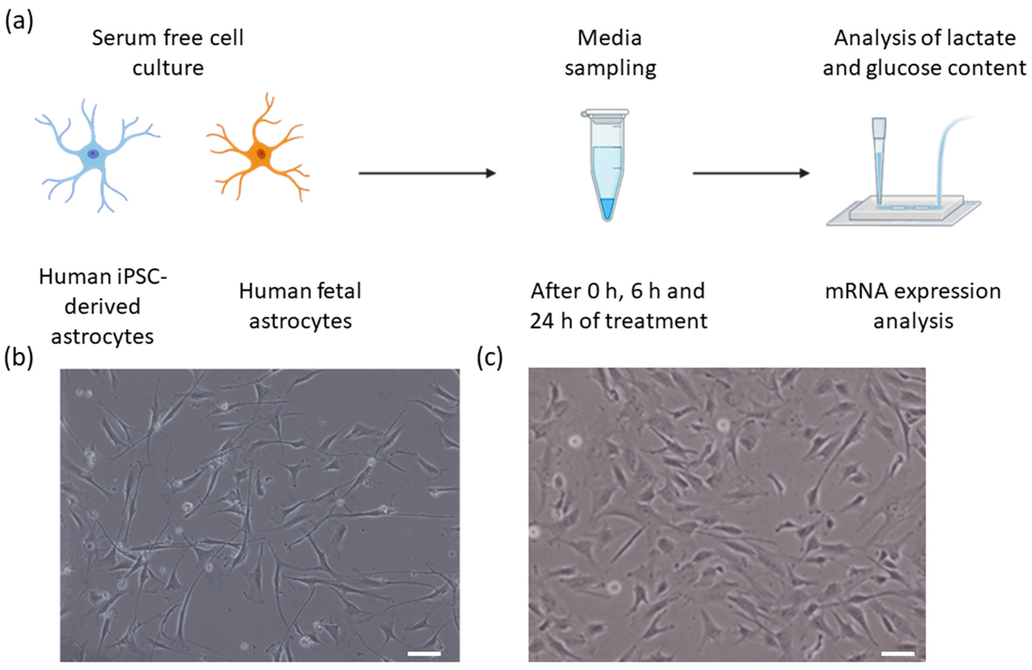 Biosensors 12 00839 g001 Biosensors 12 00839 g001