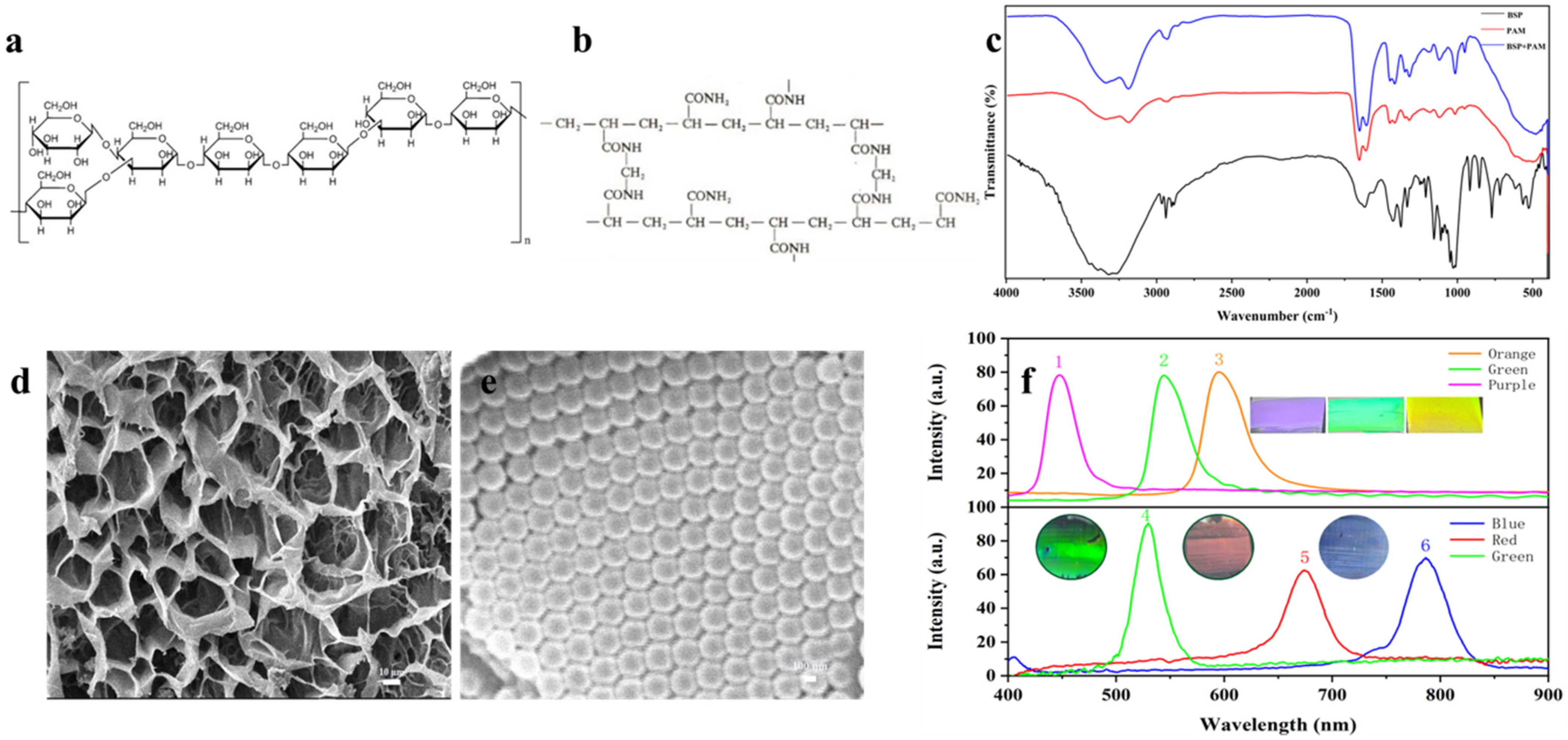 Biosensors 12 00841 g001 Biosensors 12 00841 g001