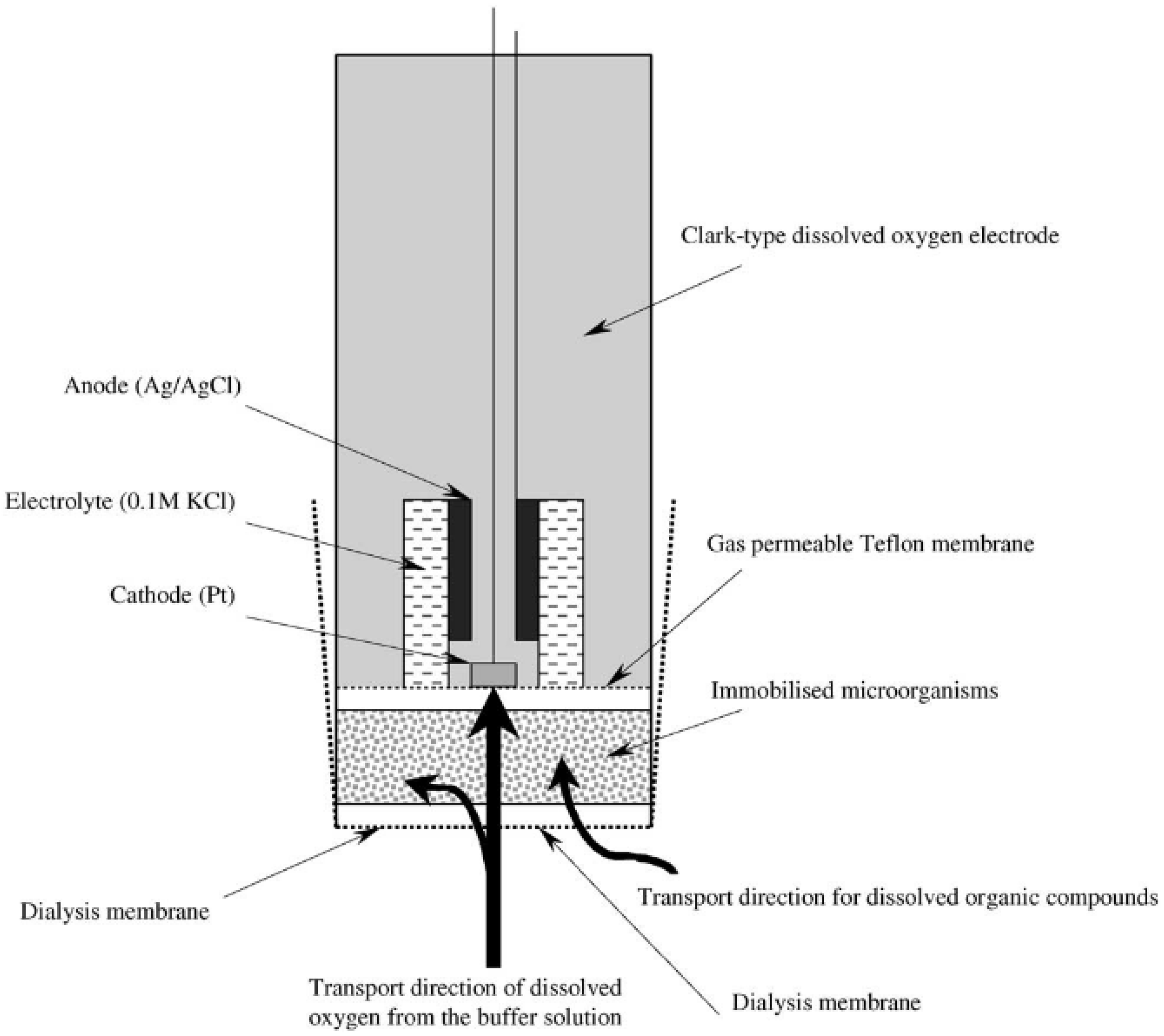 Biosensors 12 00842 g005 Biosensors 12 00842 g005
