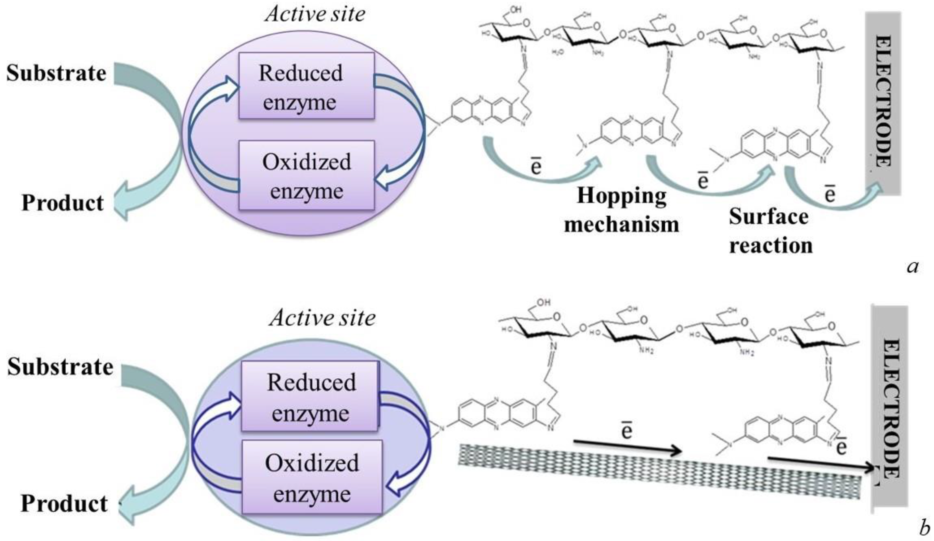 Biosensors 12 00842 g011 Biosensors 12 00842 g011