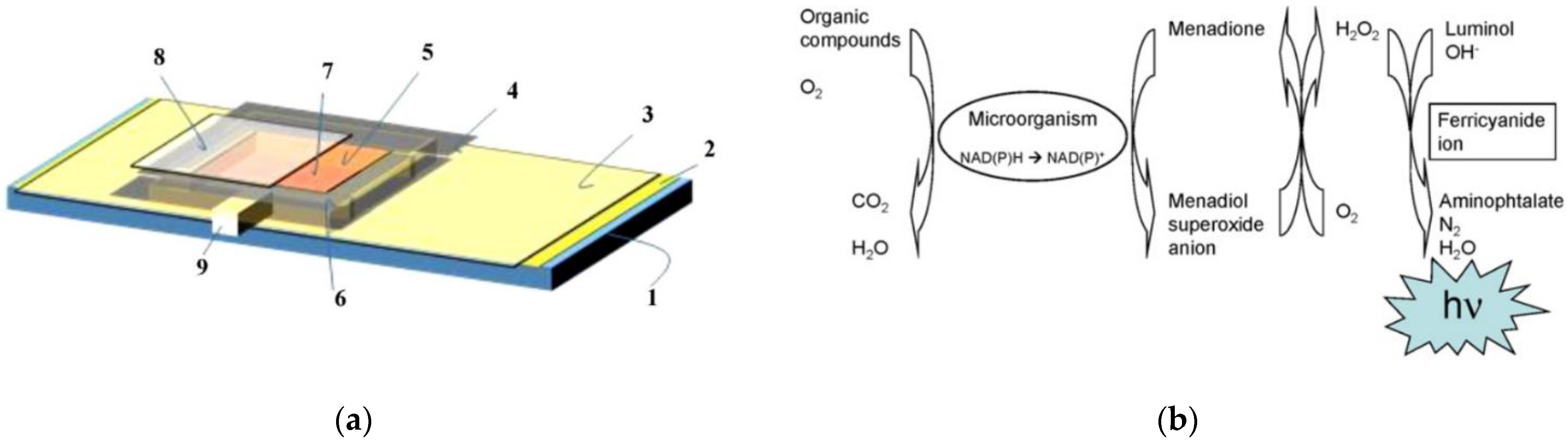 Biosensors 12 00842 g012 Biosensors 12 00842 g012