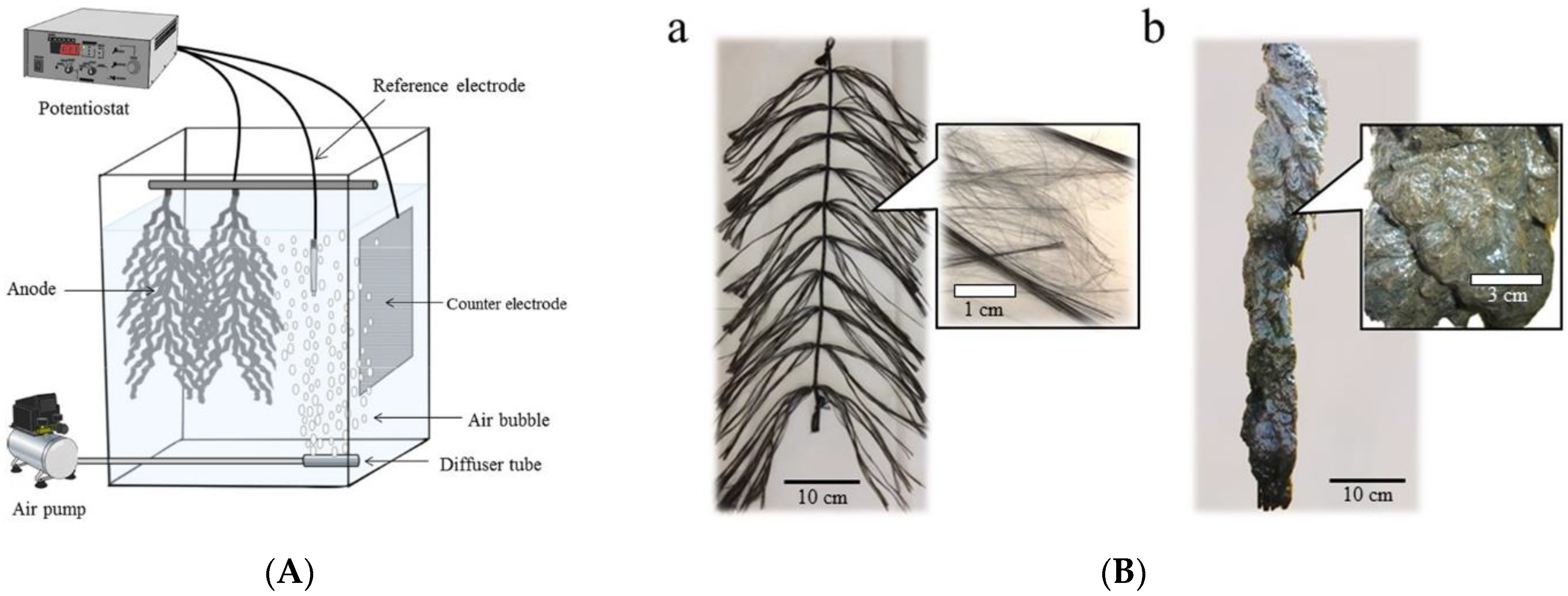 Biosensors 12 00842 g014 Biosensors 12 00842 g014