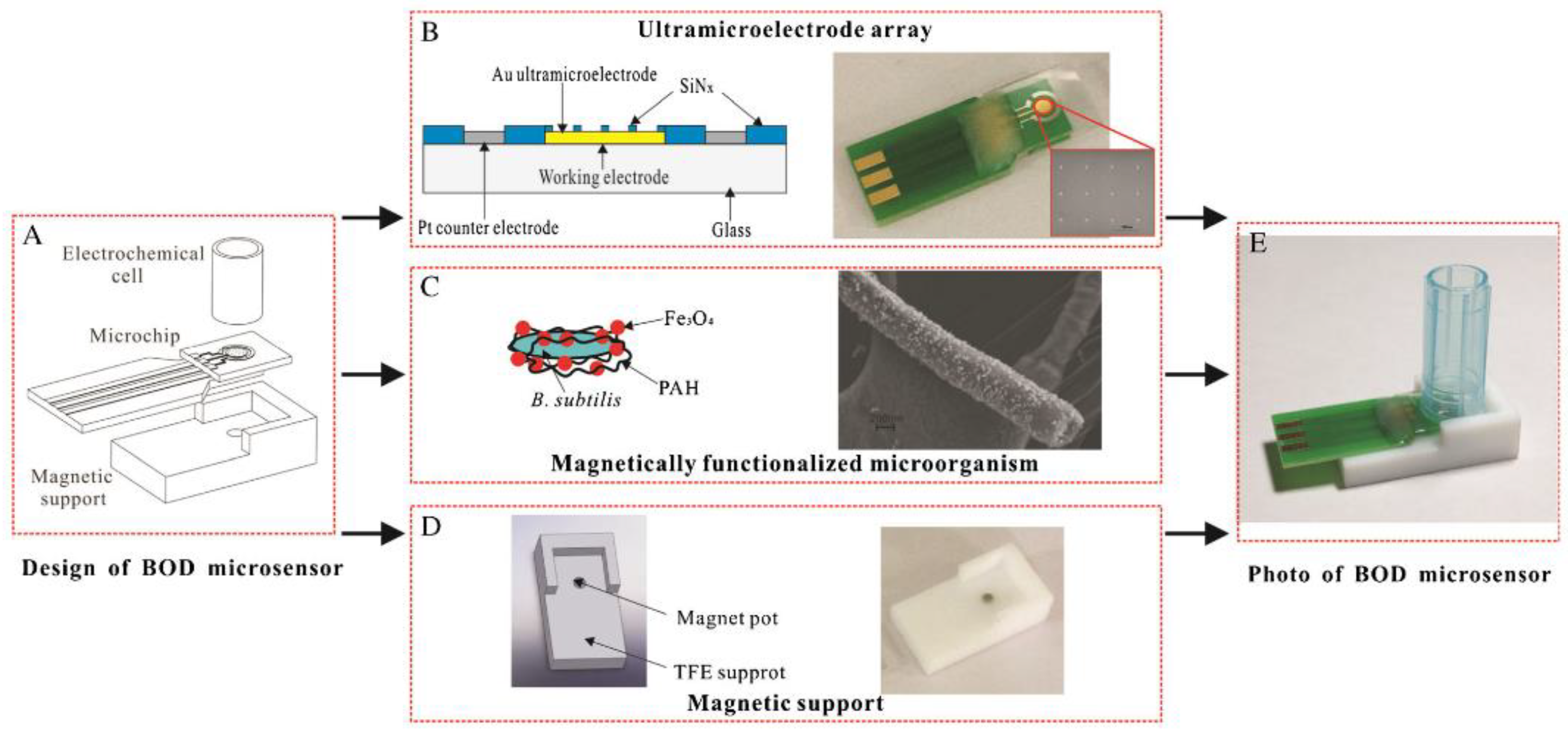 Biosensors 12 00842 g016 Biosensors 12 00842 g016