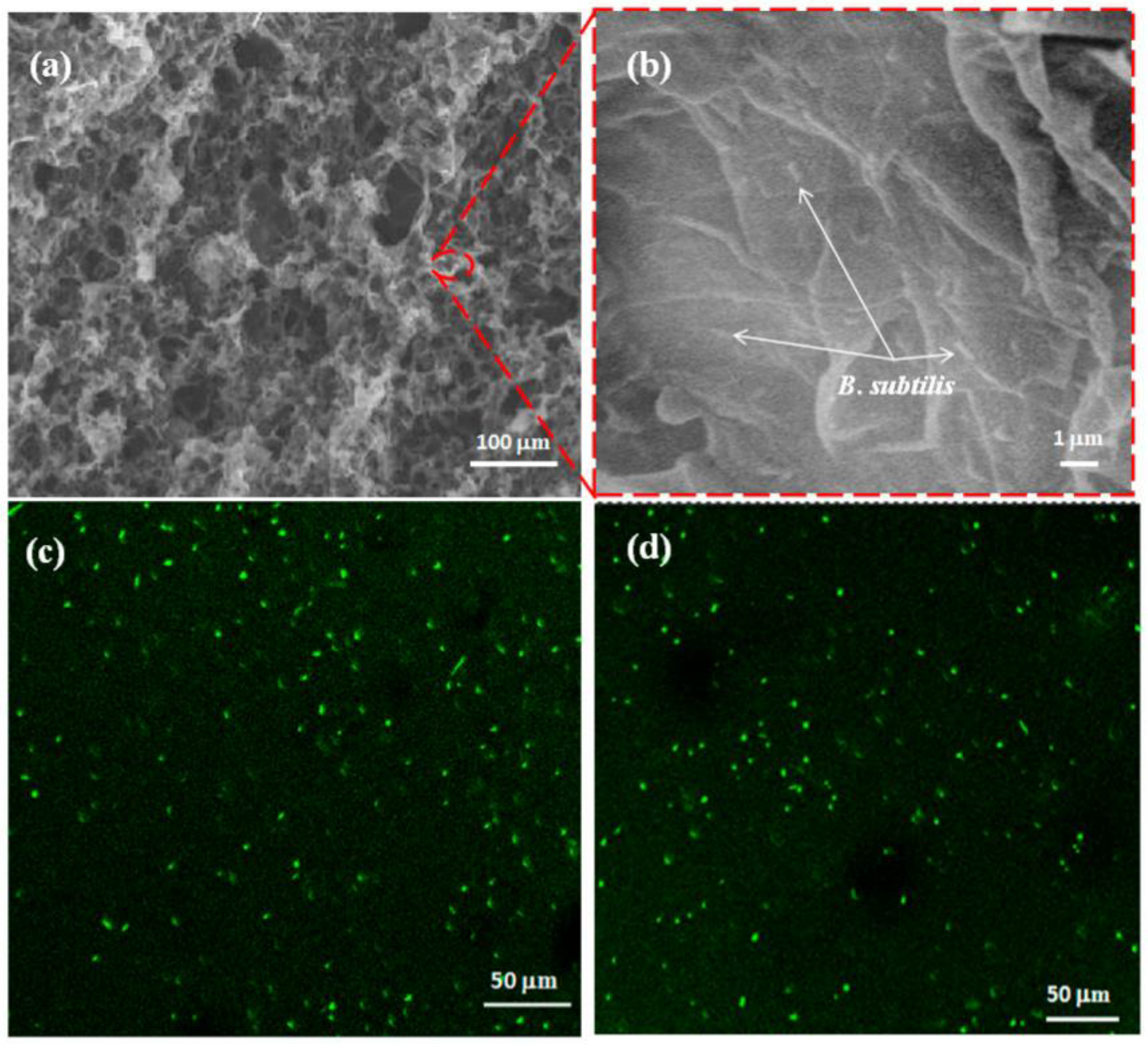 Biosensors 12 00842 g017 Biosensors 12 00842 g017