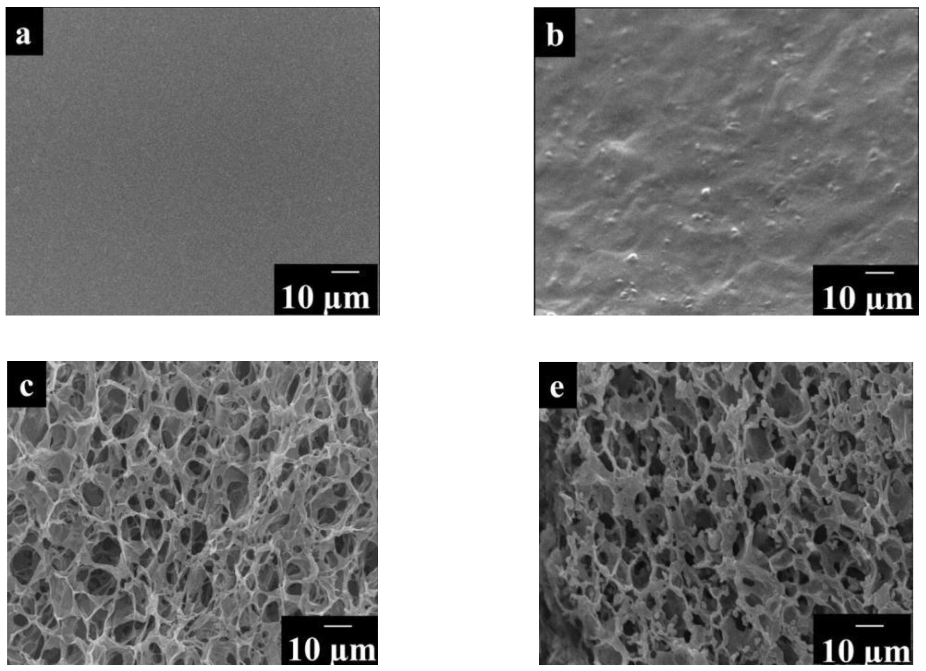 Biosensors 12 00842 g018 Biosensors 12 00842 g018