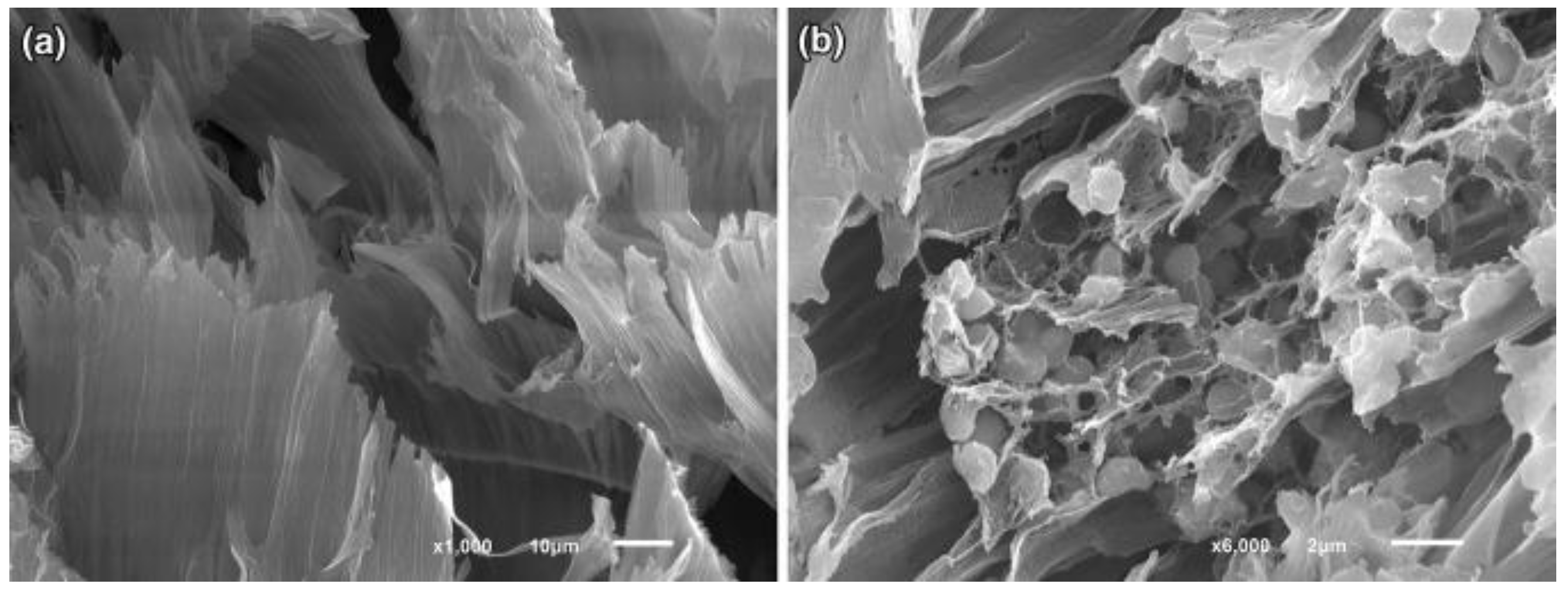 Biosensors 12 00842 g019 Biosensors 12 00842 g019