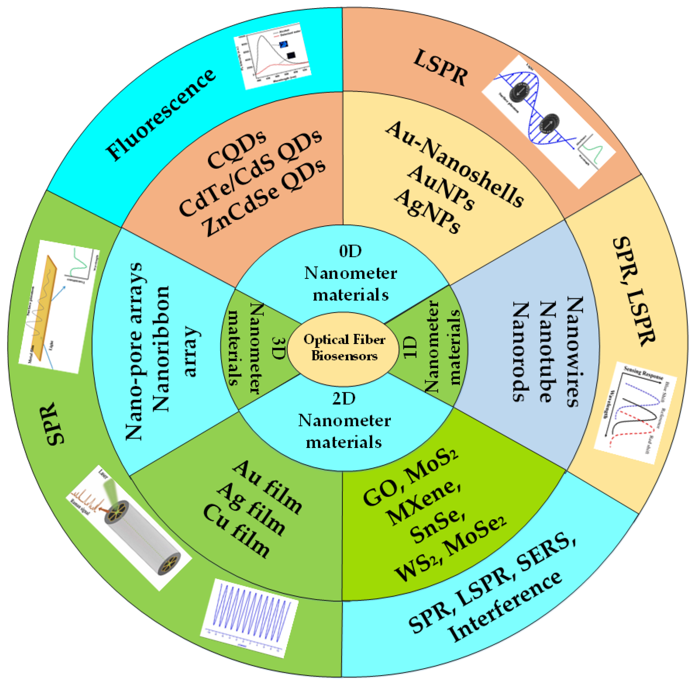 Biosensors 12 00843 g001