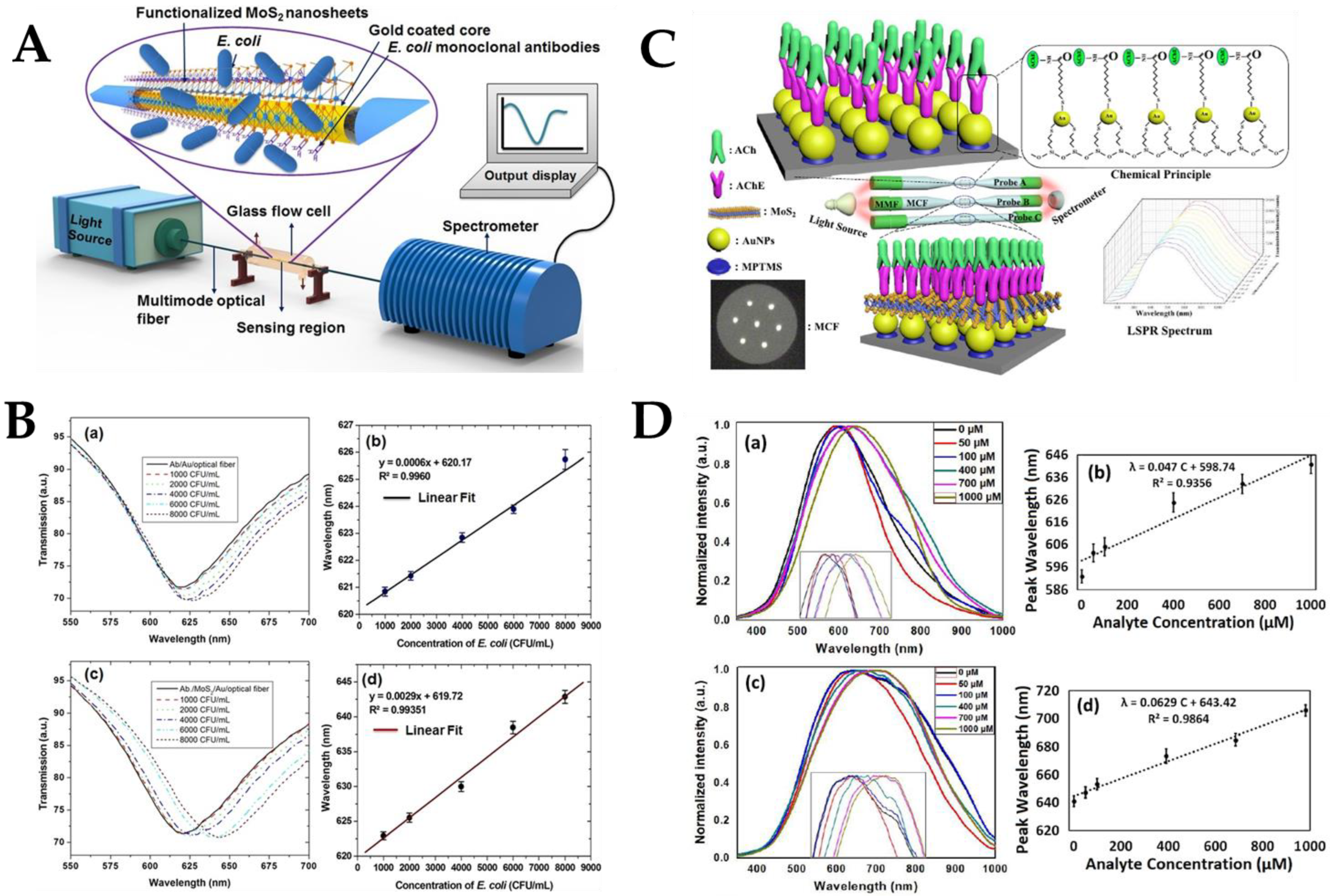 Biosensors 12 00843 g010