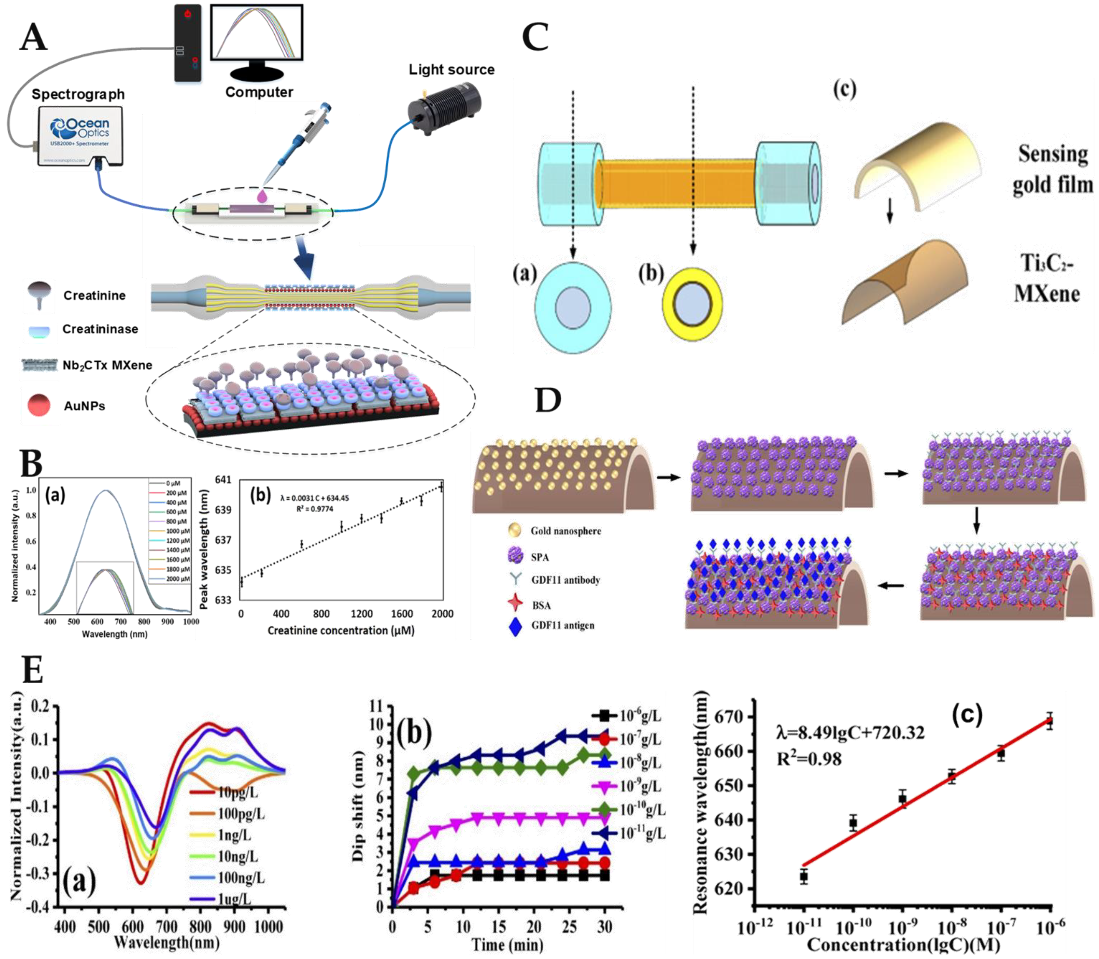 Biosensors 12 00843 g011