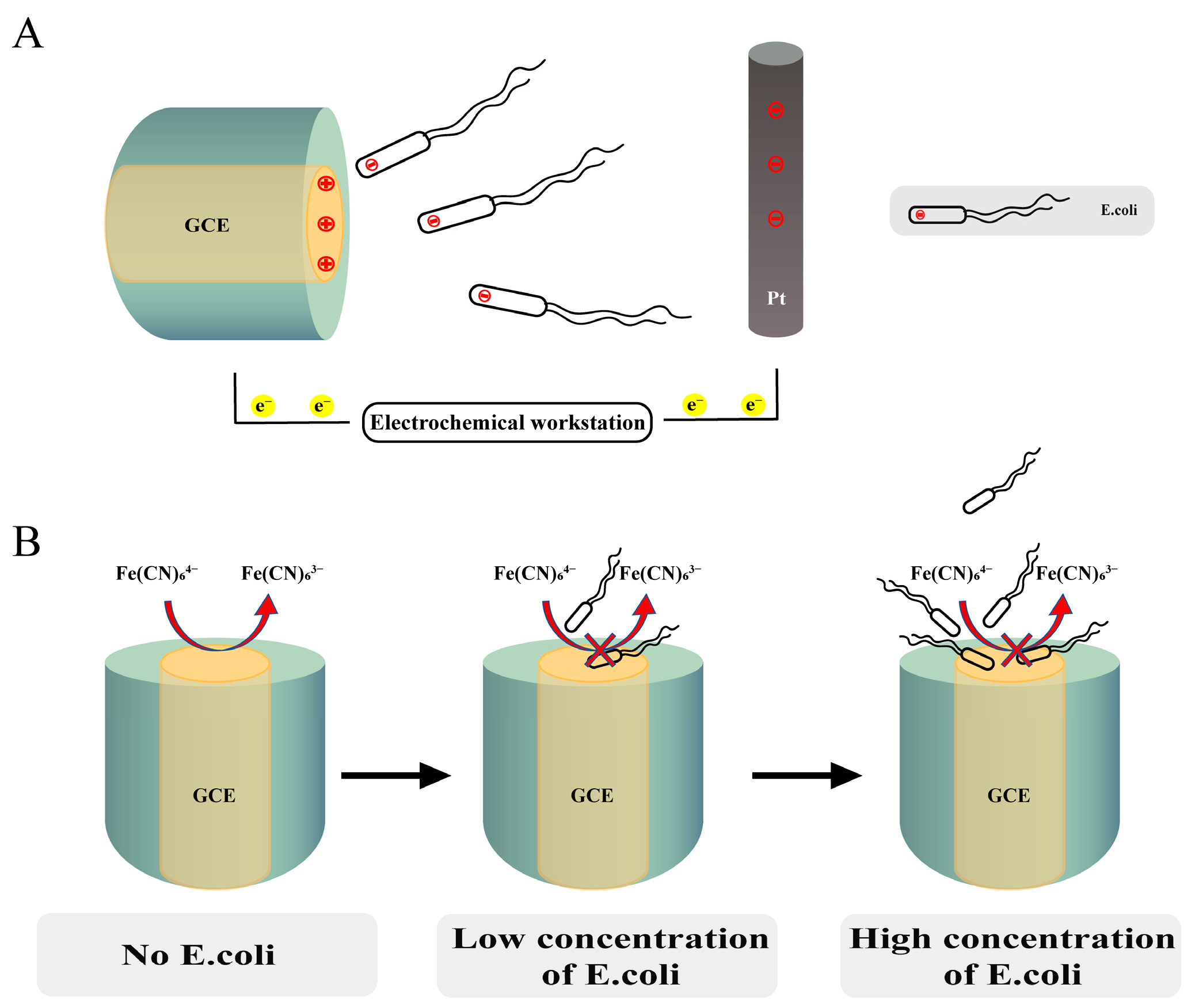Biosensors 12 00845 g001 Biosensors 12 00845 g001
