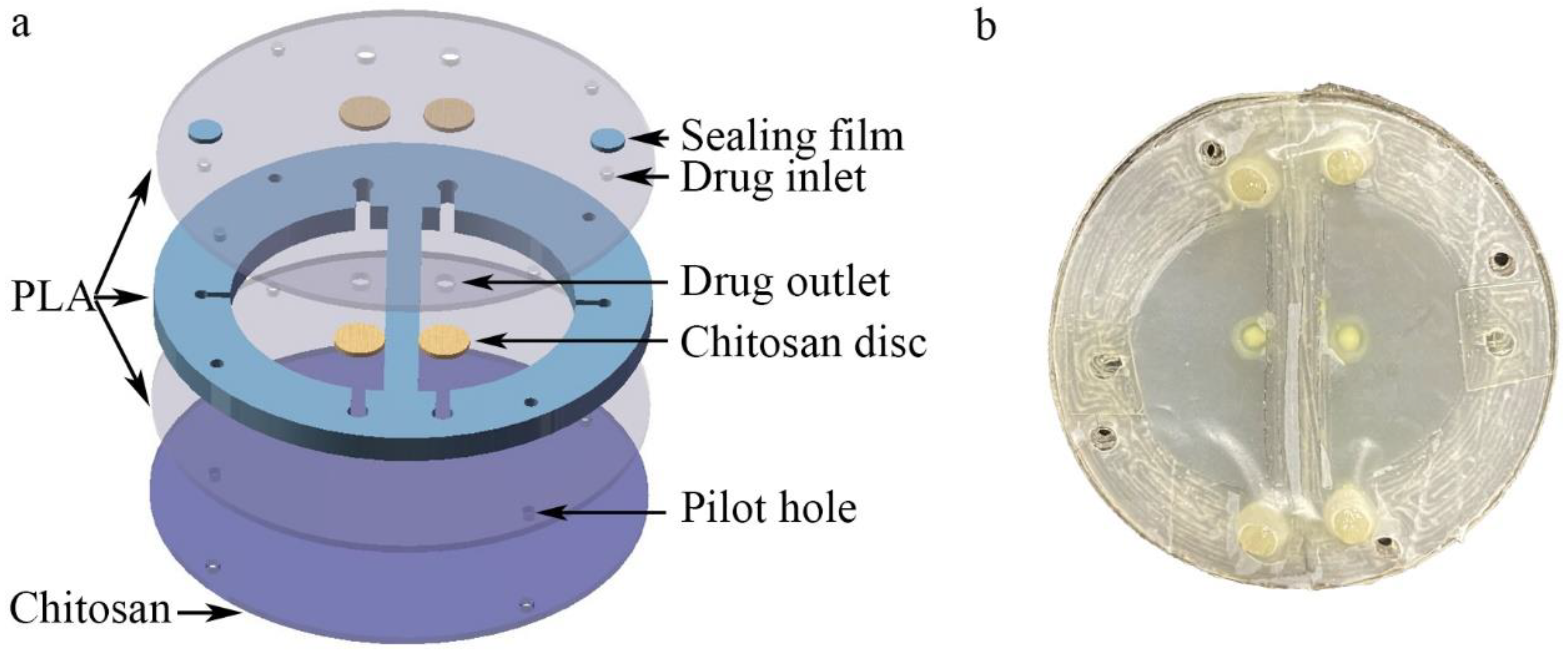 Biosensors 12 00847 g002 Biosensors 12 00847 g002
