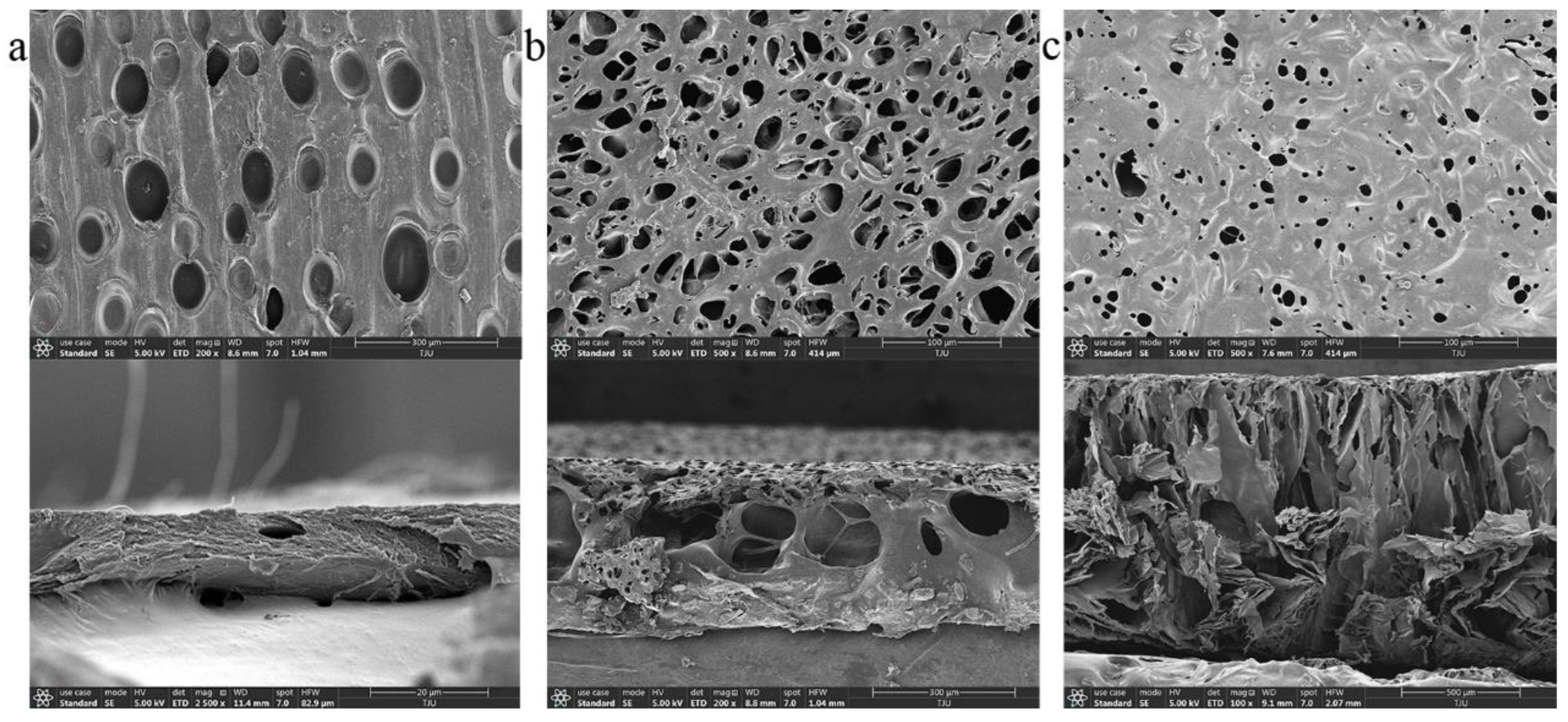 Biosensors 12 00847 g003 Biosensors 12 00847 g003