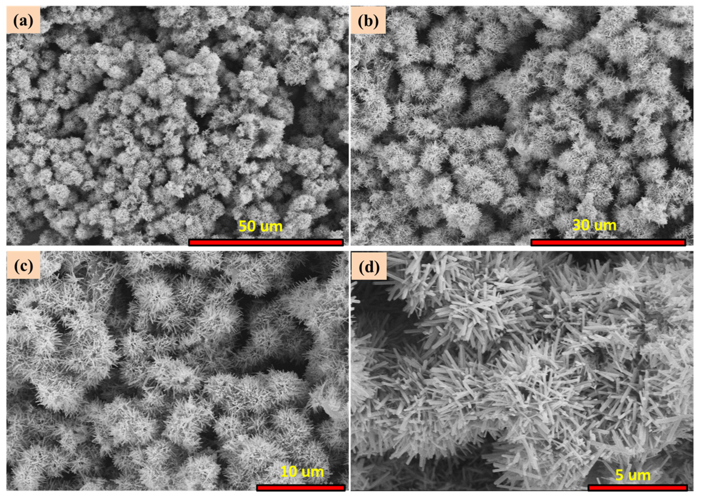 Biosensors 12 00849 g002
