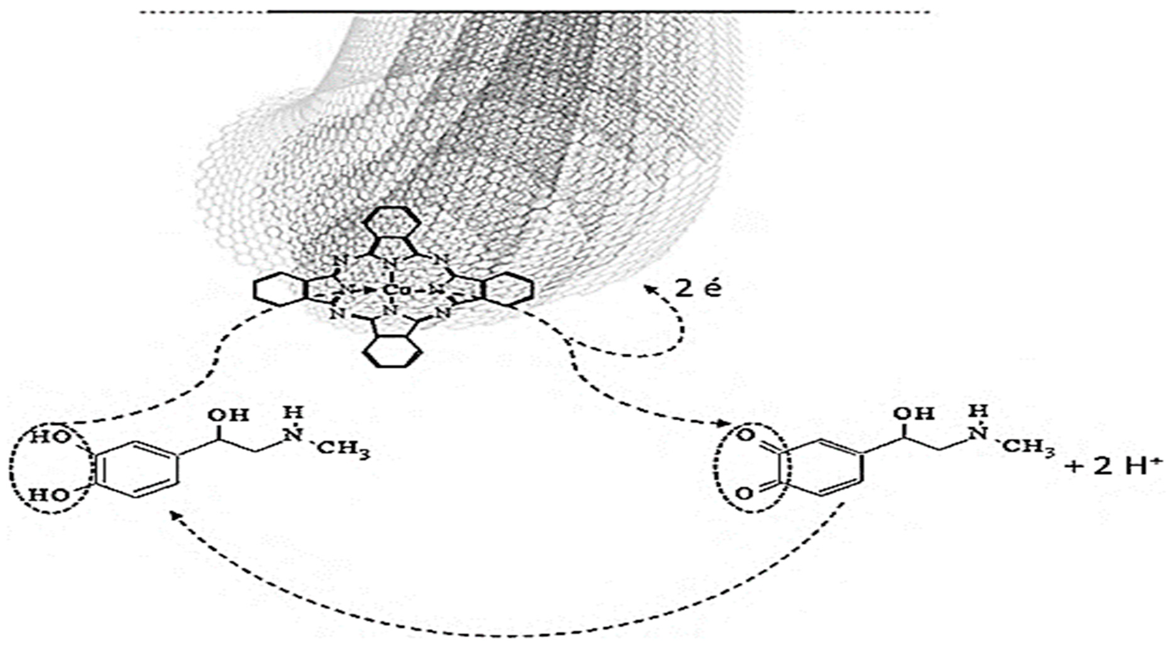 Biosensors 12 00850 sch004