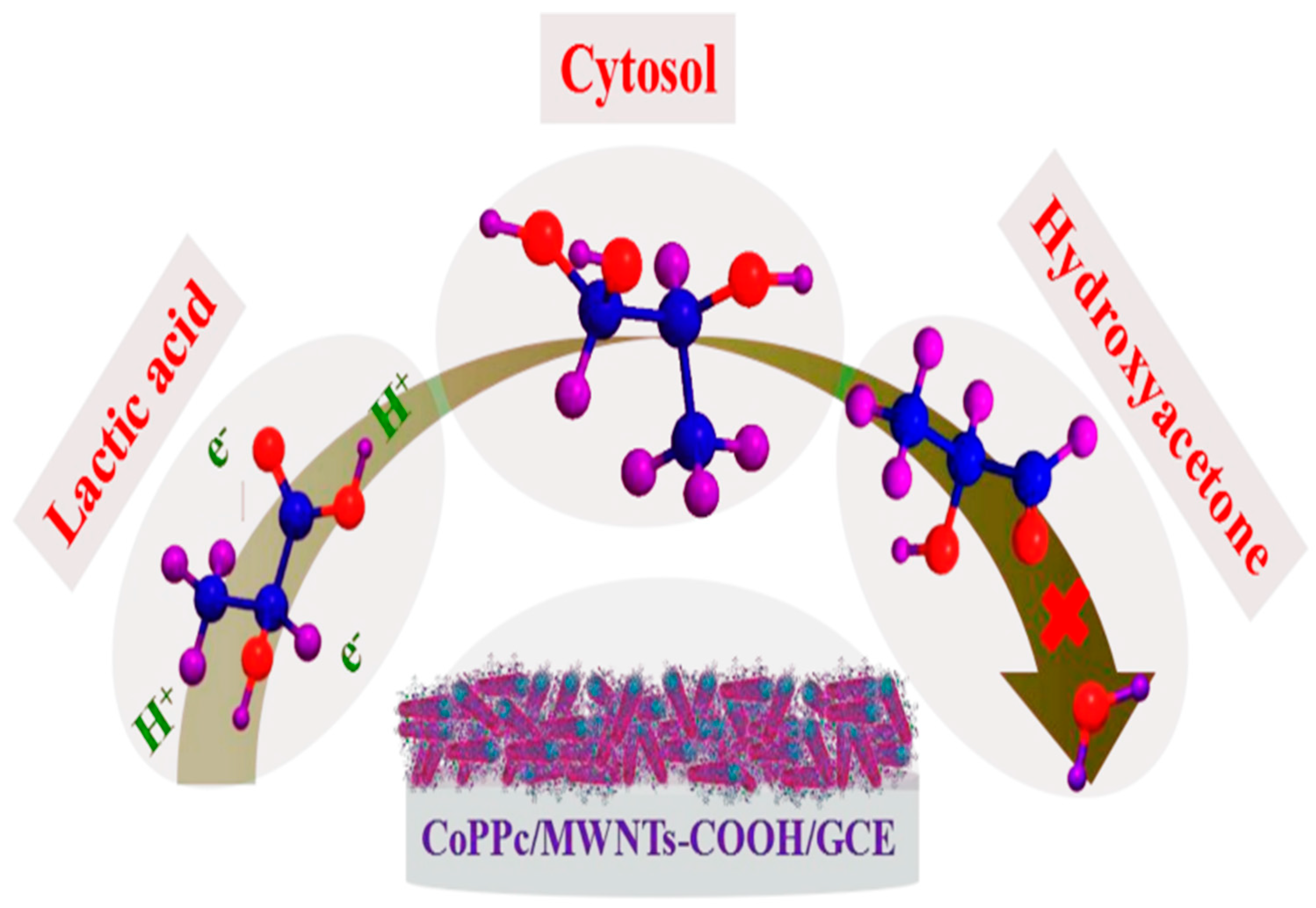 Biosensors 12 00850 sch006