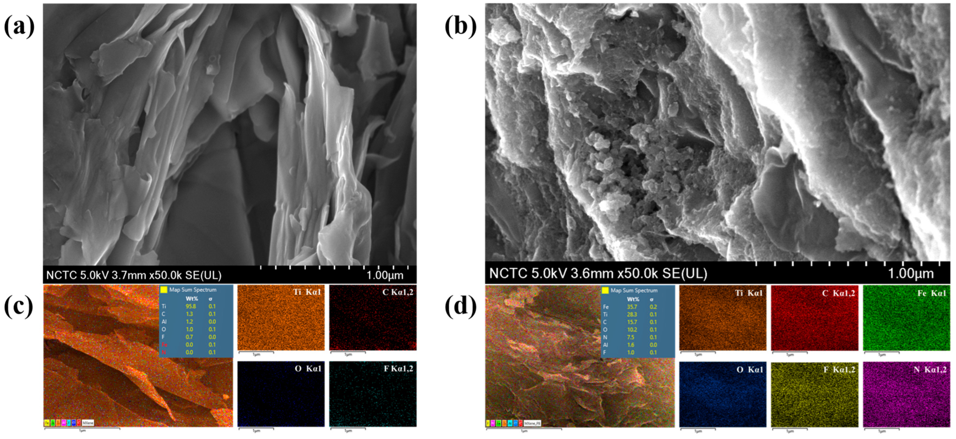 Biosensors 12 00852 g003