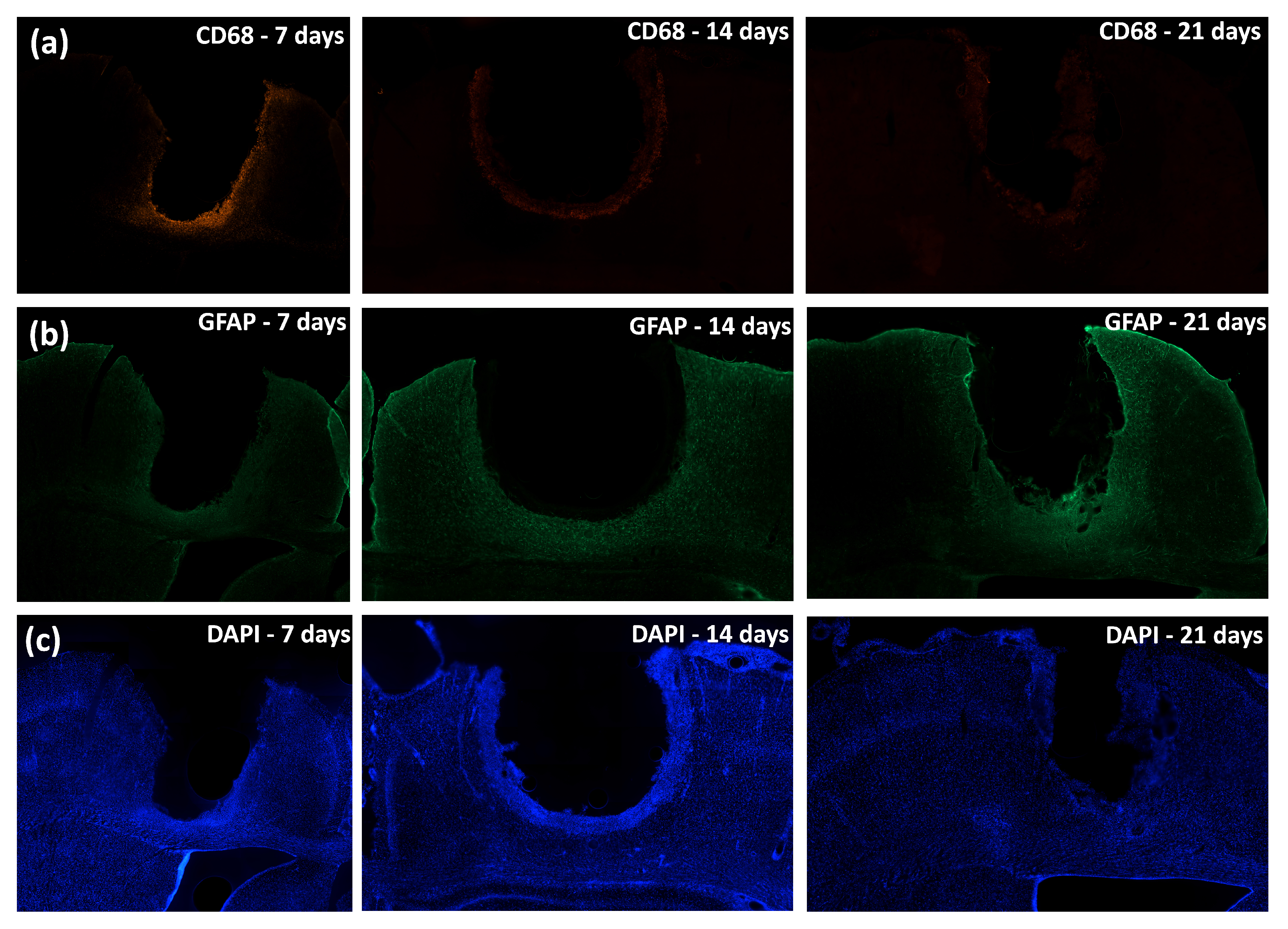 Biosensors 12 00853 g009