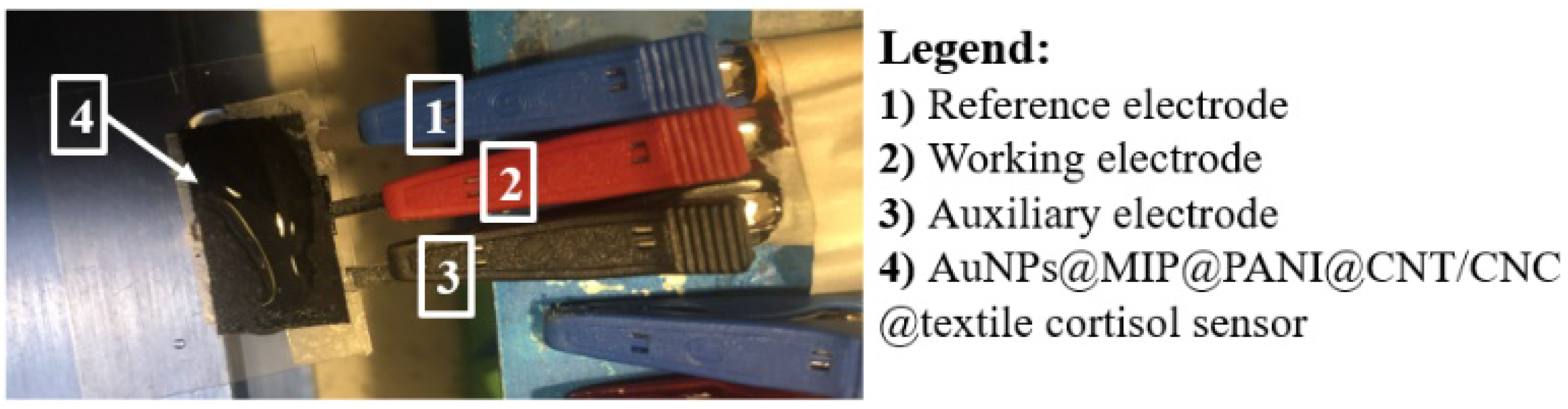 Biosensors 12 00854 g001 Biosensors 12 00854 g001