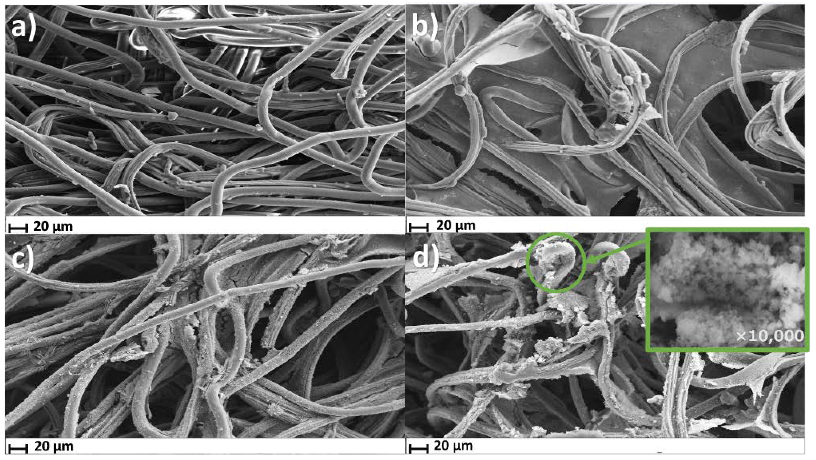 Biosensors 12 00854 g003 Biosensors 12 00854 g003
