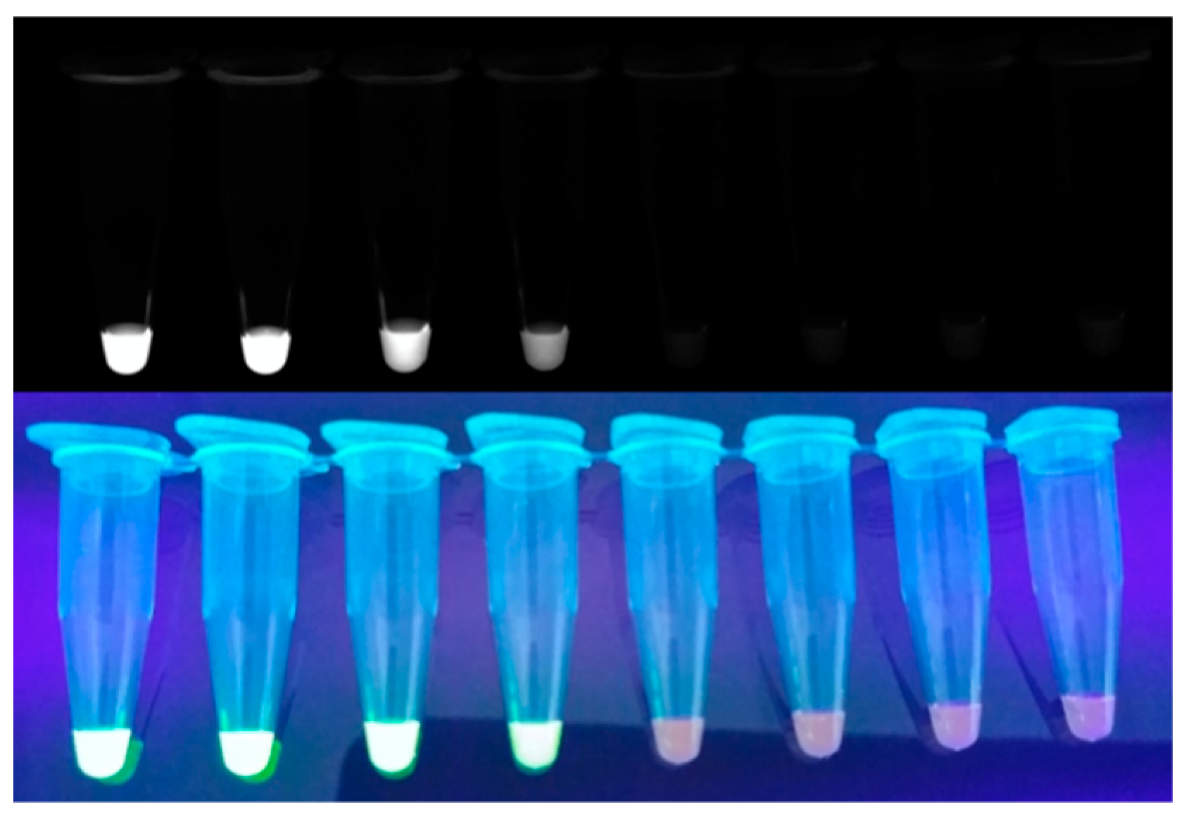 Biosensors 12 00857 g003 Biosensors 12 00857 g003