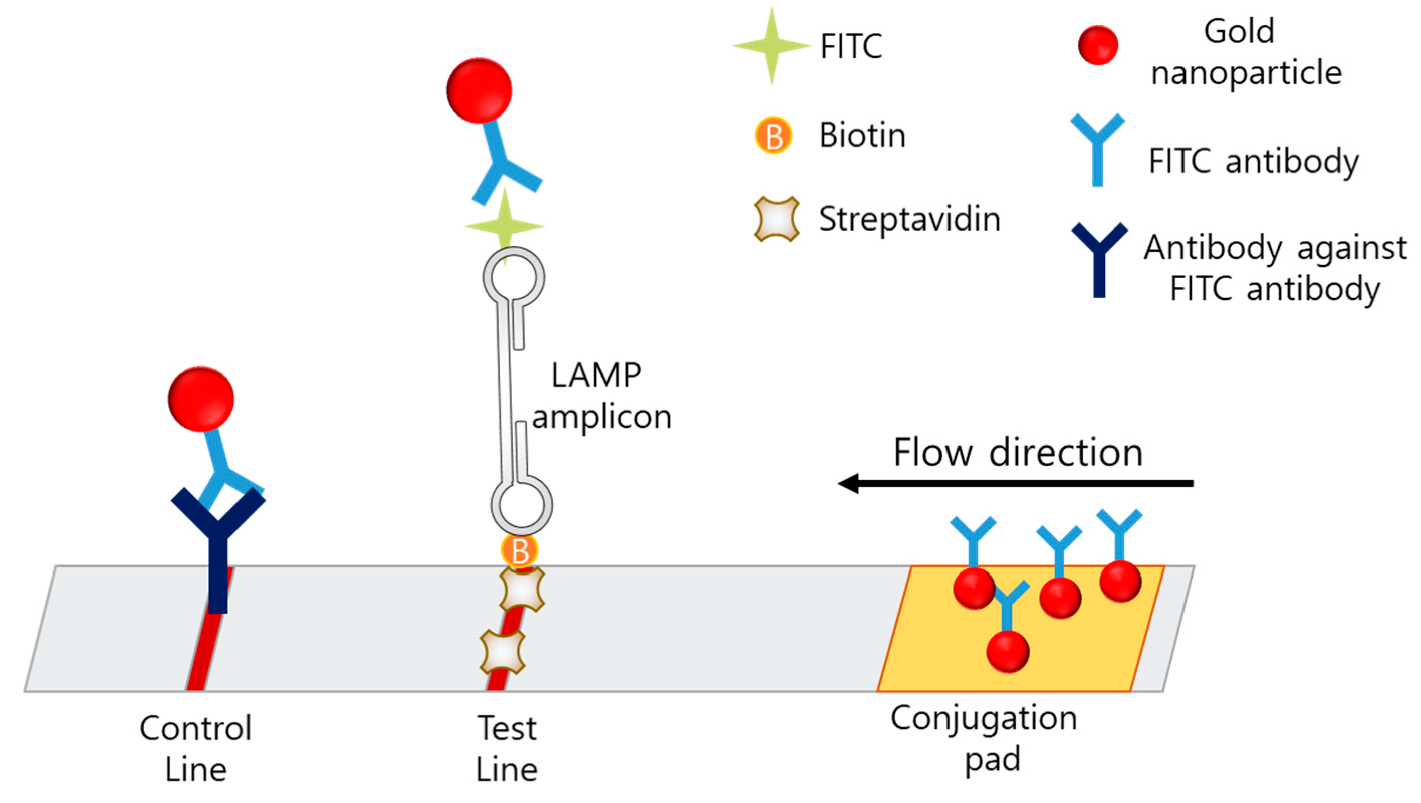 Biosensors 12 00857 g008 Biosensors 12 00857 g008