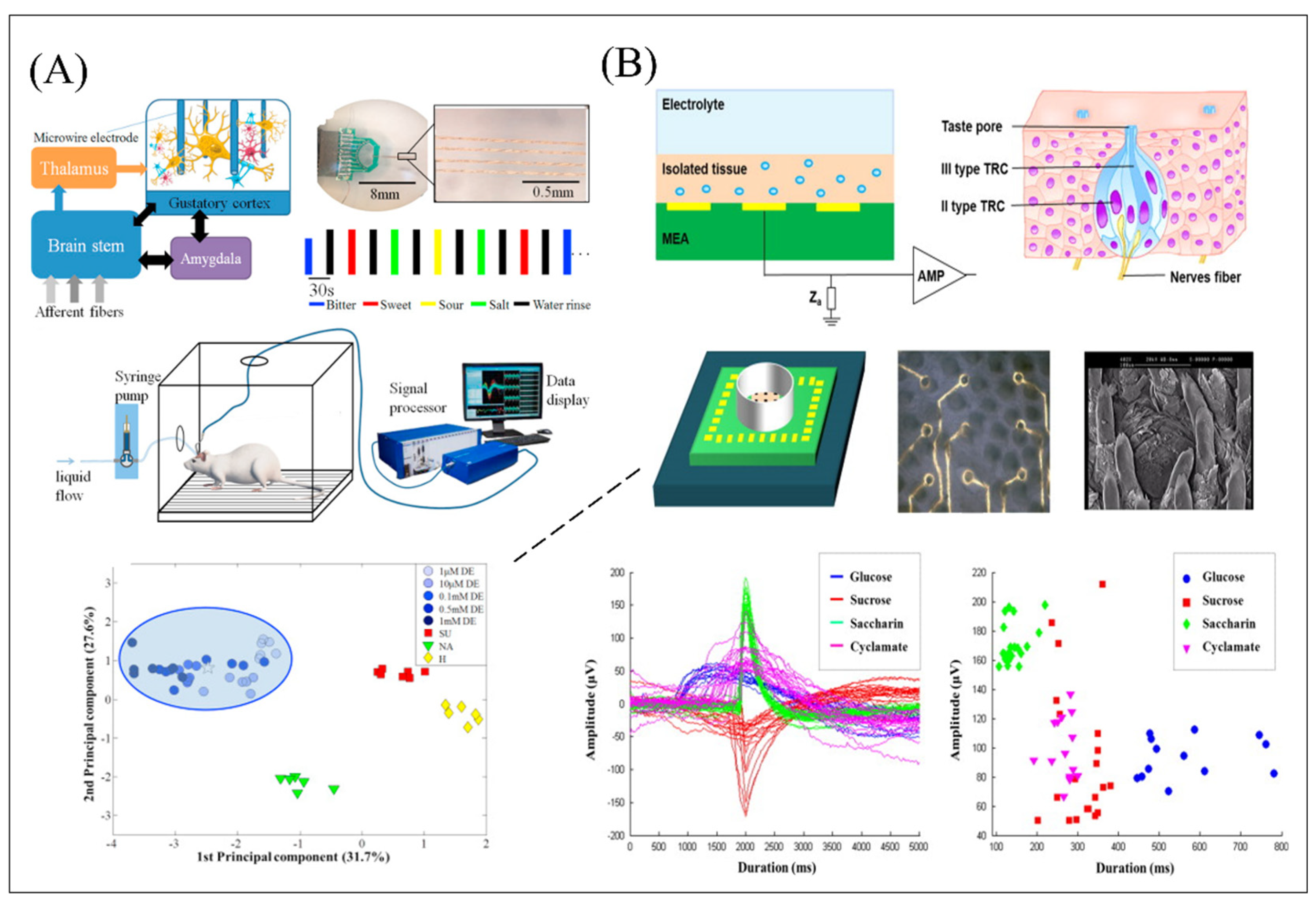 Biosensors 12 00858 g005 Biosensors 12 00858 g005