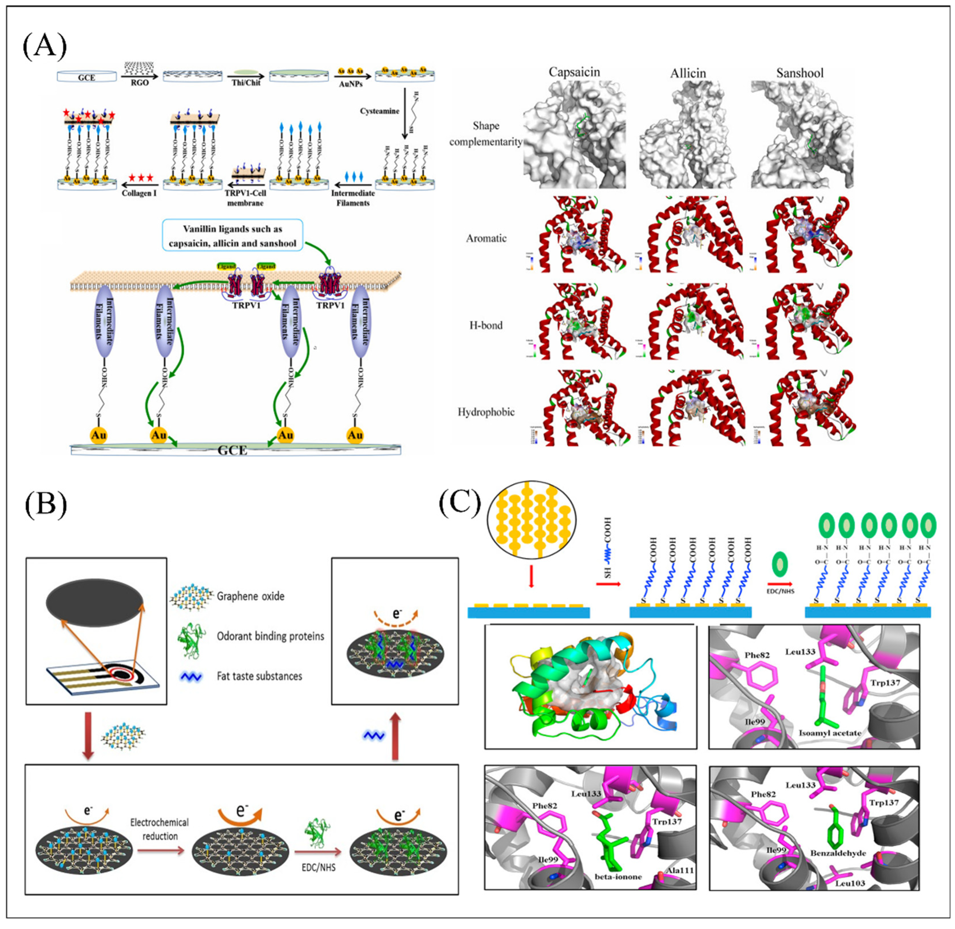 Biosensors 12 00858 g008 Biosensors 12 00858 g008