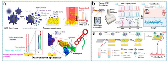 Recent Advances of Representative Optical Biosensors for Rapid and ...